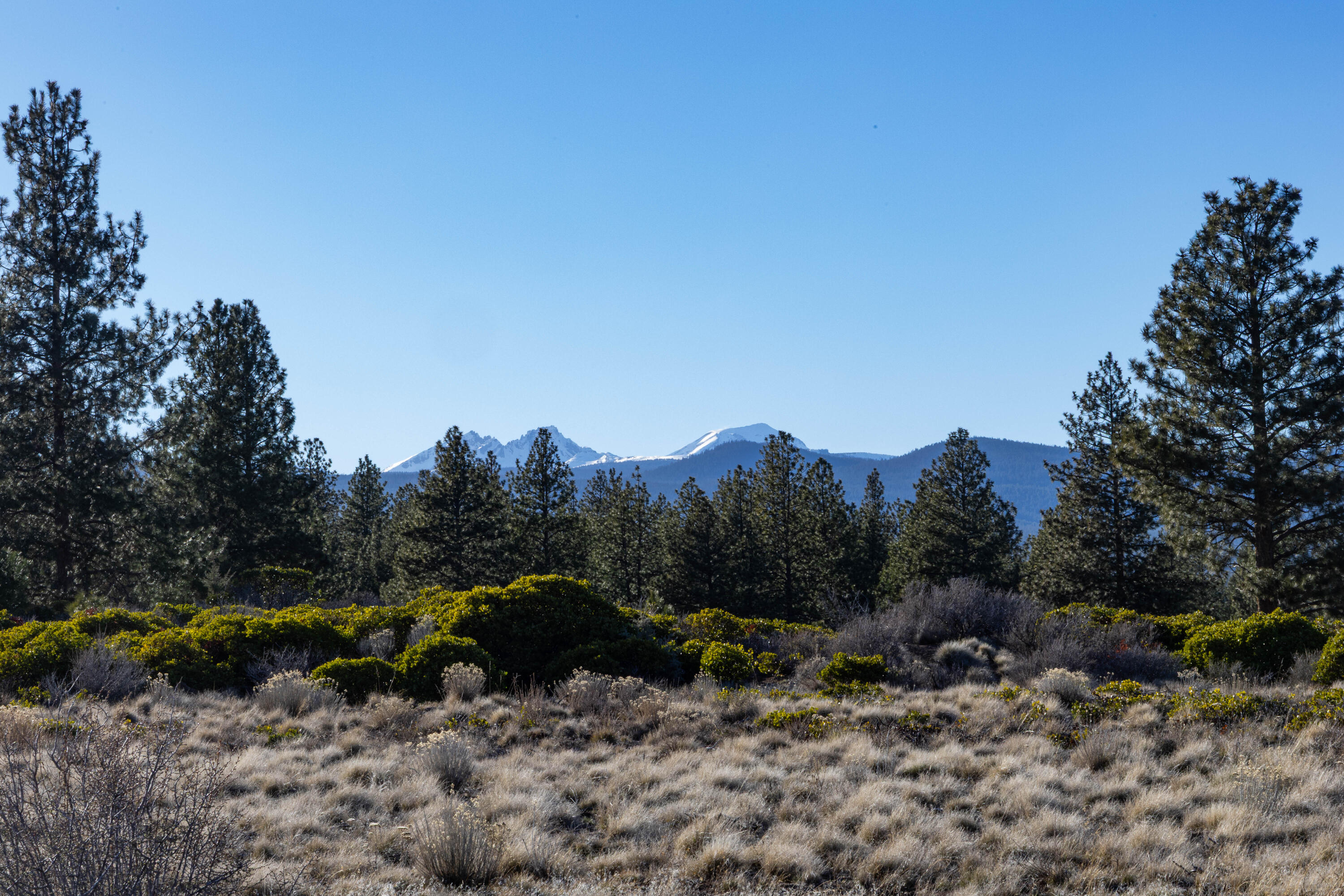 18858 Ridgeline Drive