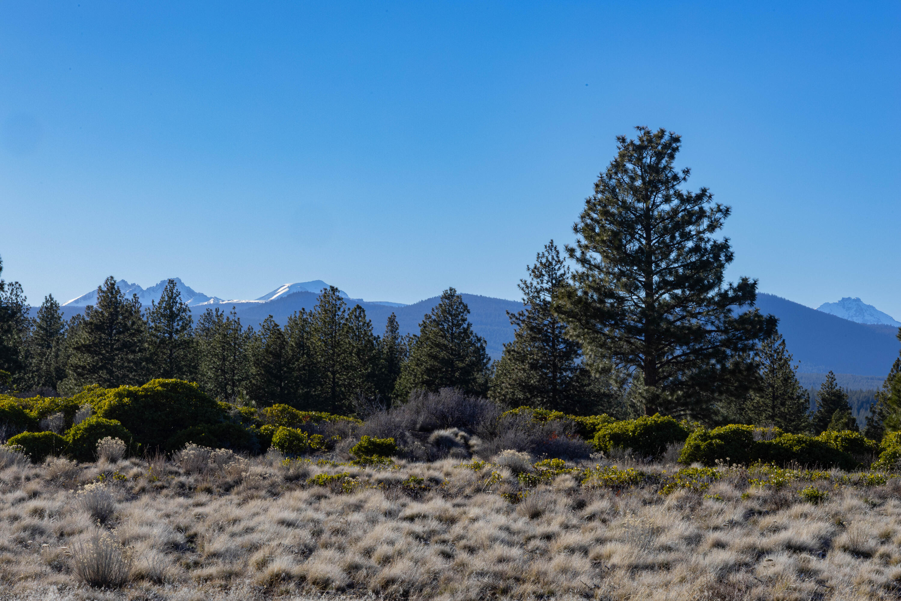 18858 Ridgeline Drive