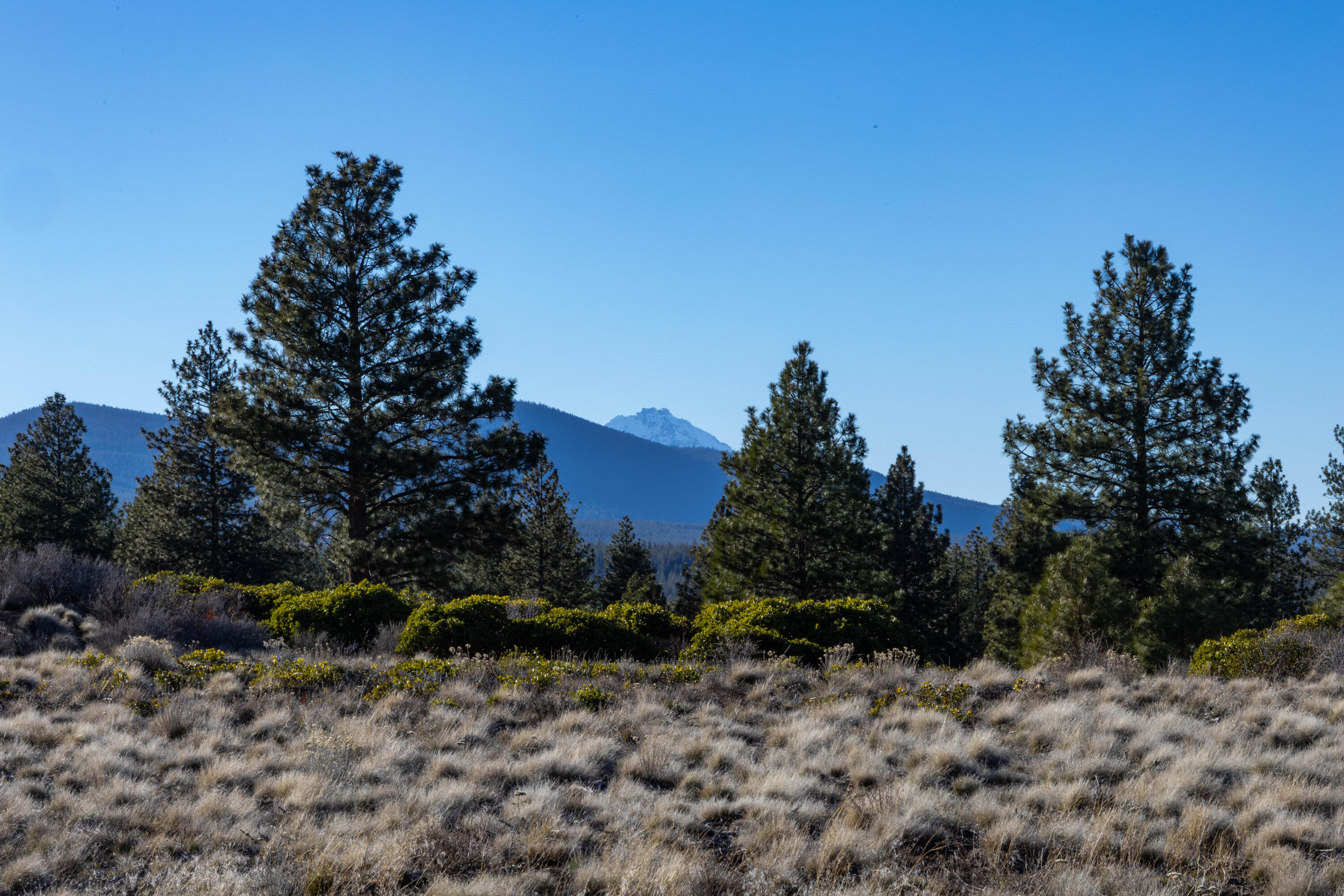 18858 Ridgeline Drive