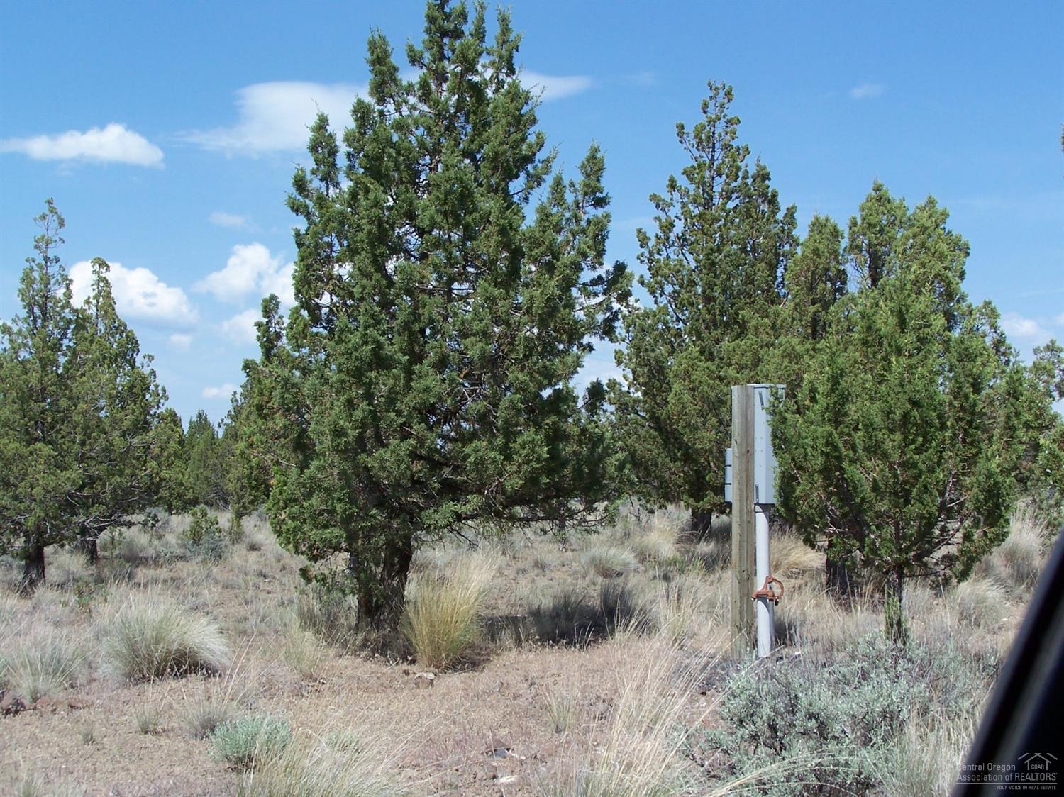 High Desert Estate - Land