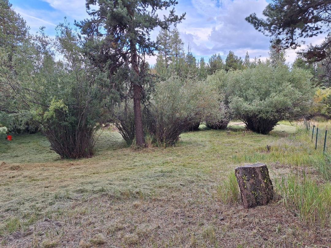 Deschutes River Acre - Land