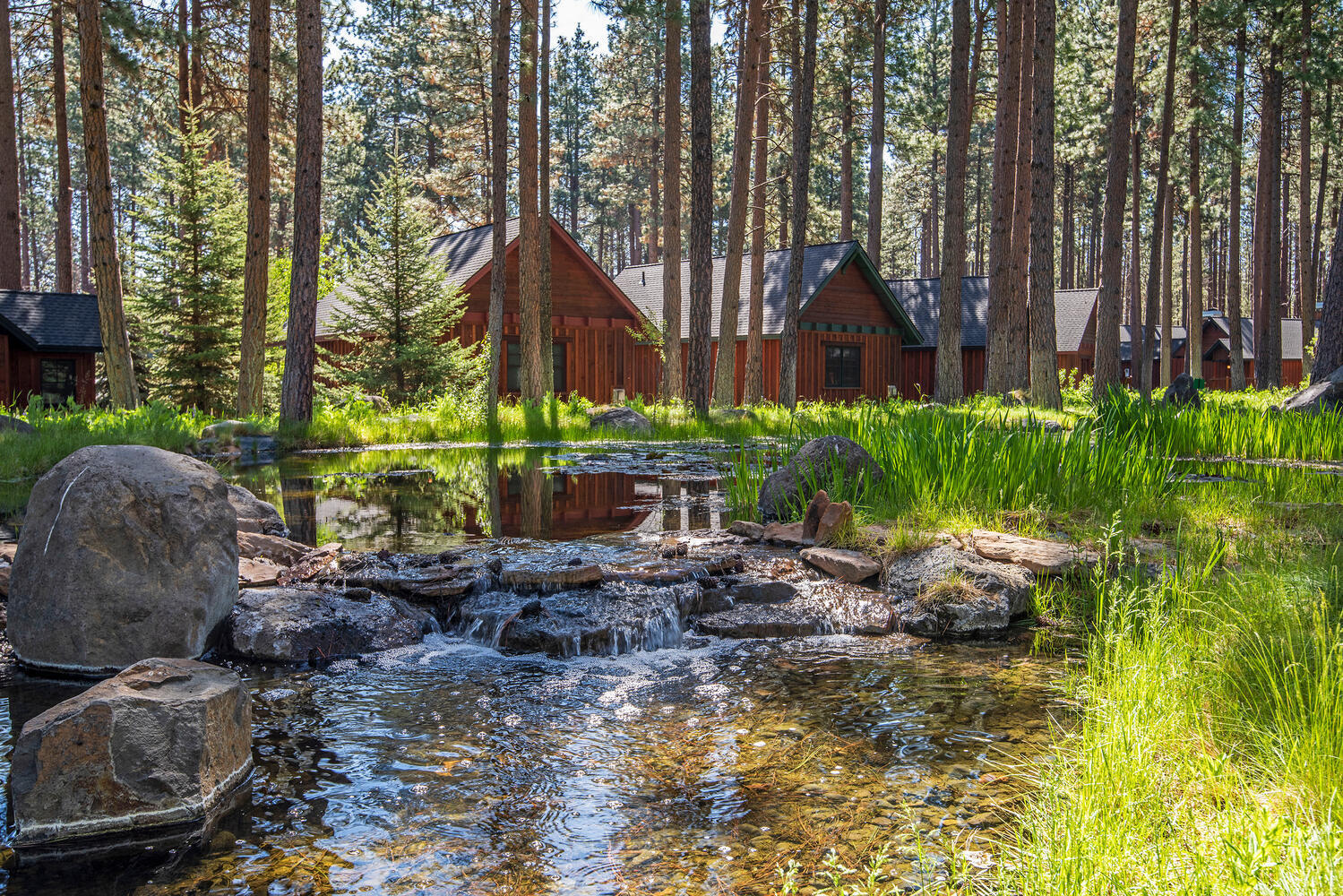 Fivepine - Commercial Sale