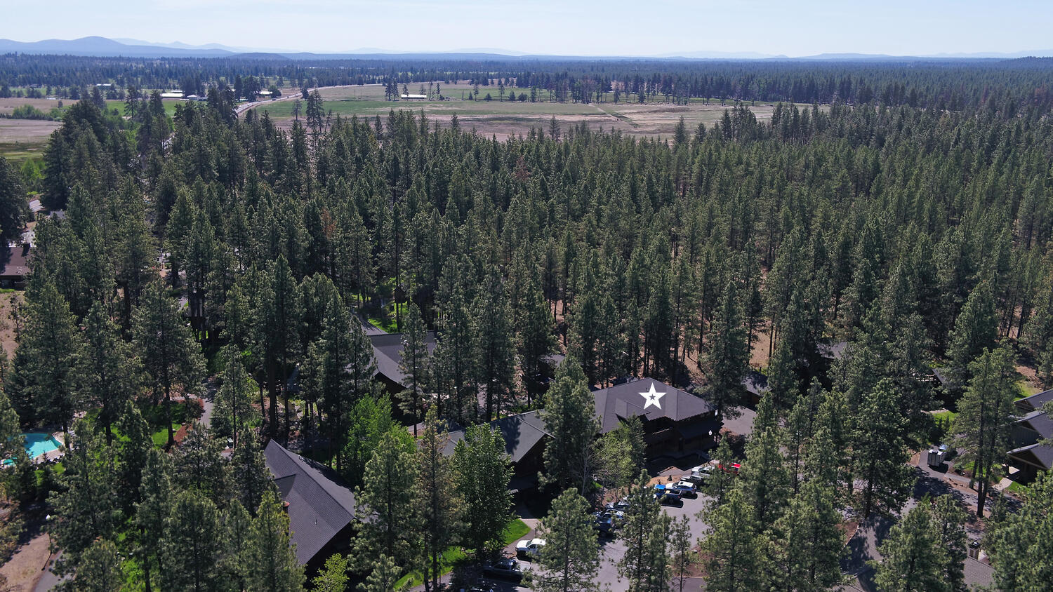 Fivepine - Commercial Sale