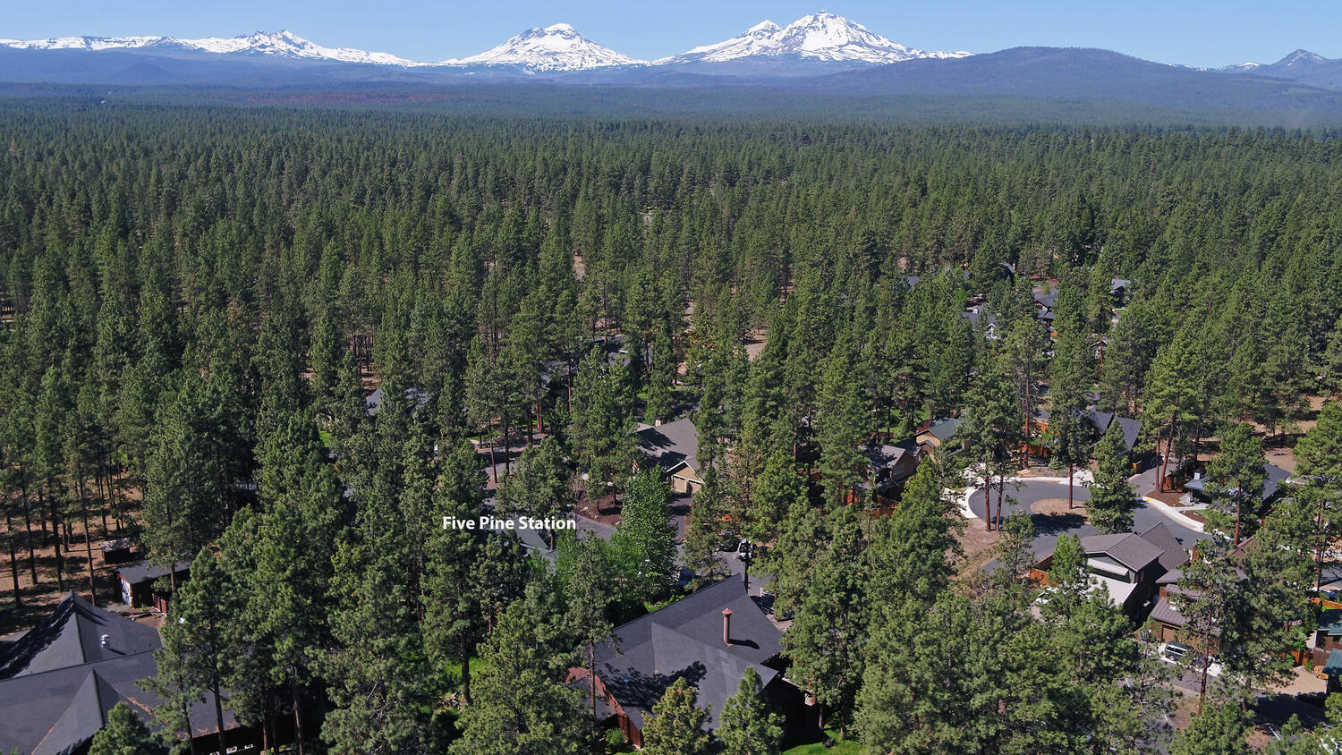 Fivepine - Commercial Sale