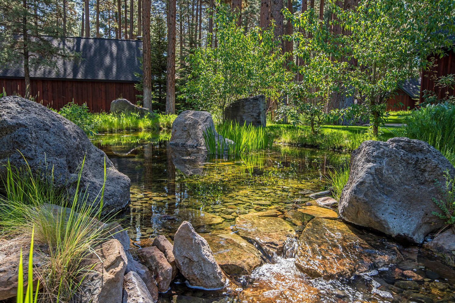 Fivepine - Commercial Sale