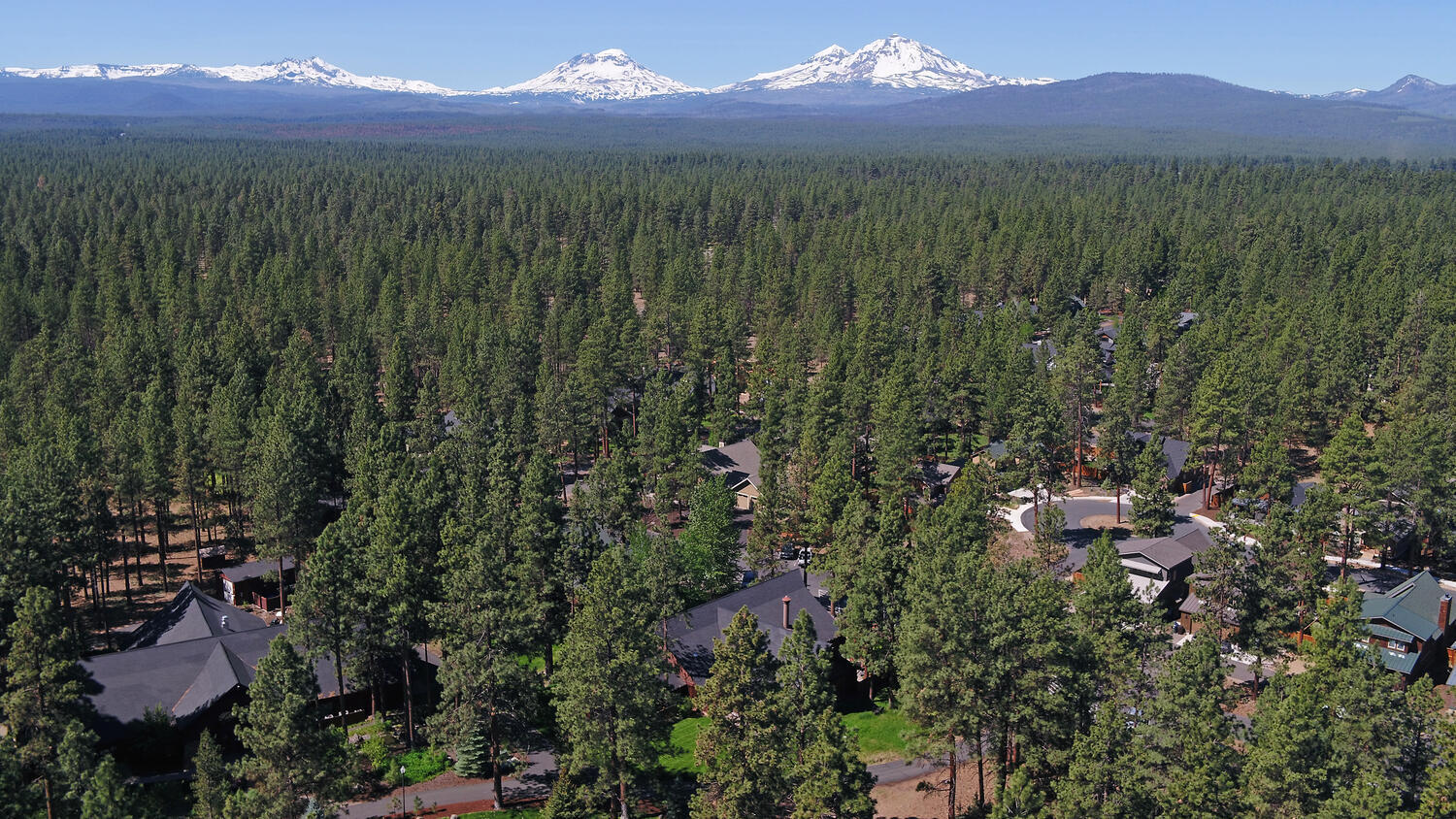 Fivepine - Commercial Sale