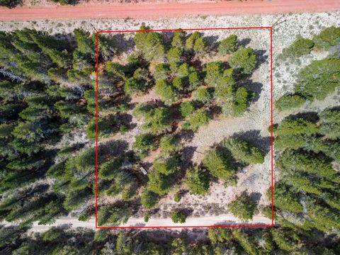 74750 Jager 8 Chiloquin OR 97624