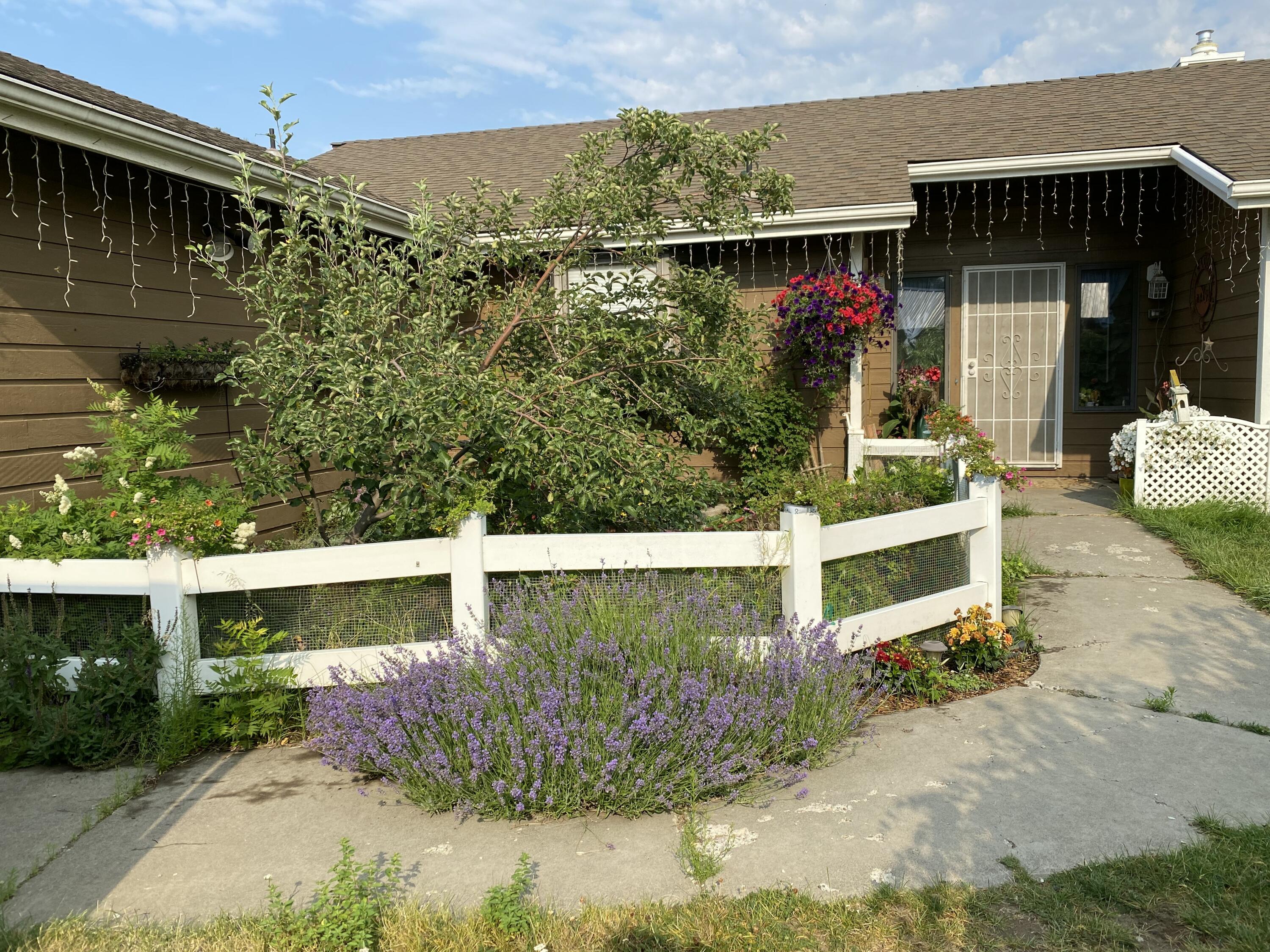 60498 Arnold Market Road