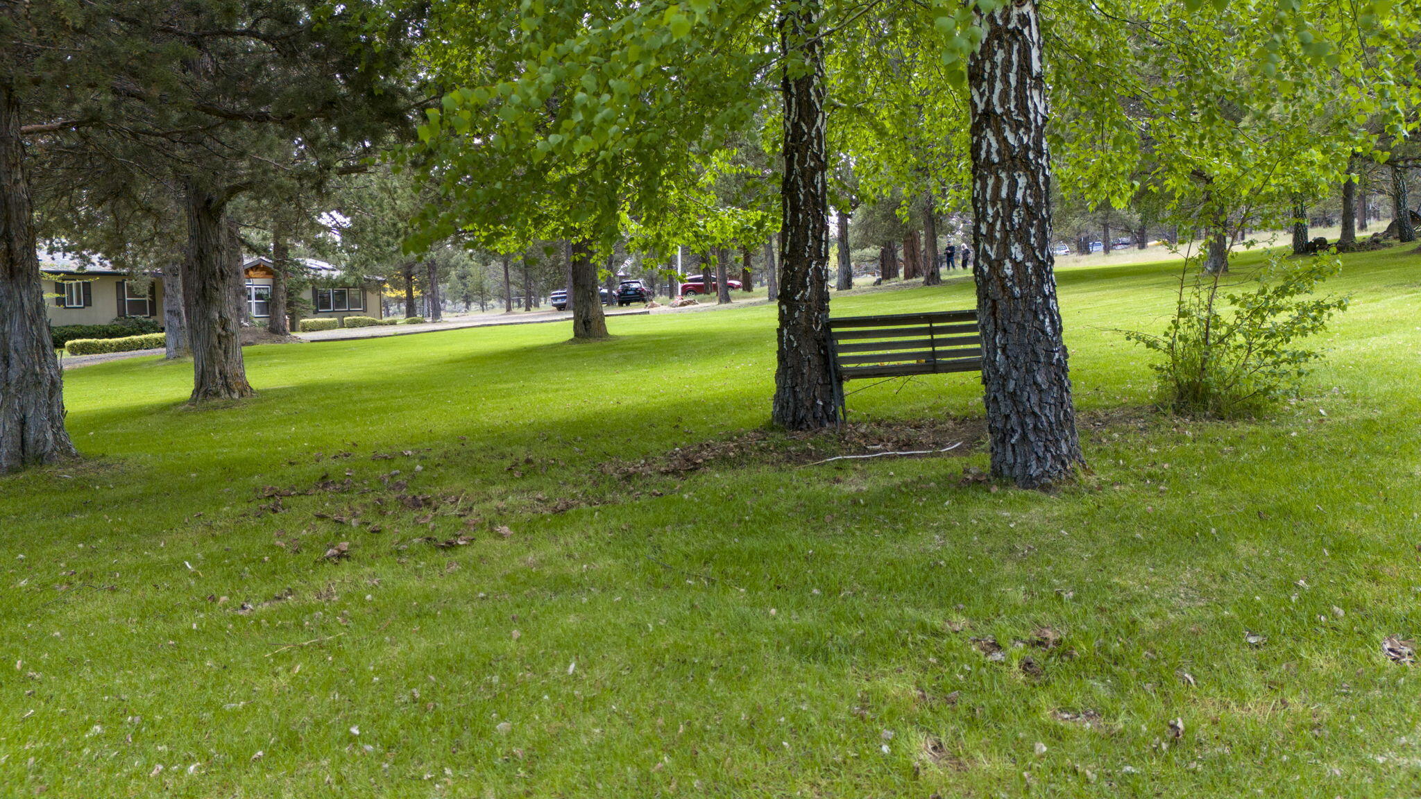 McKenzie Estates - Residential