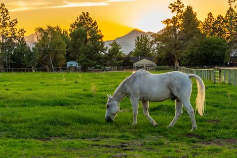 Tiny photo for 65020 Swalley Road, Bend, OR 97703 (MLS # 220210329)