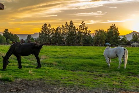 Tiny photo for 65020 Swalley Road, Bend, OR 97703 (MLS # 220210329)