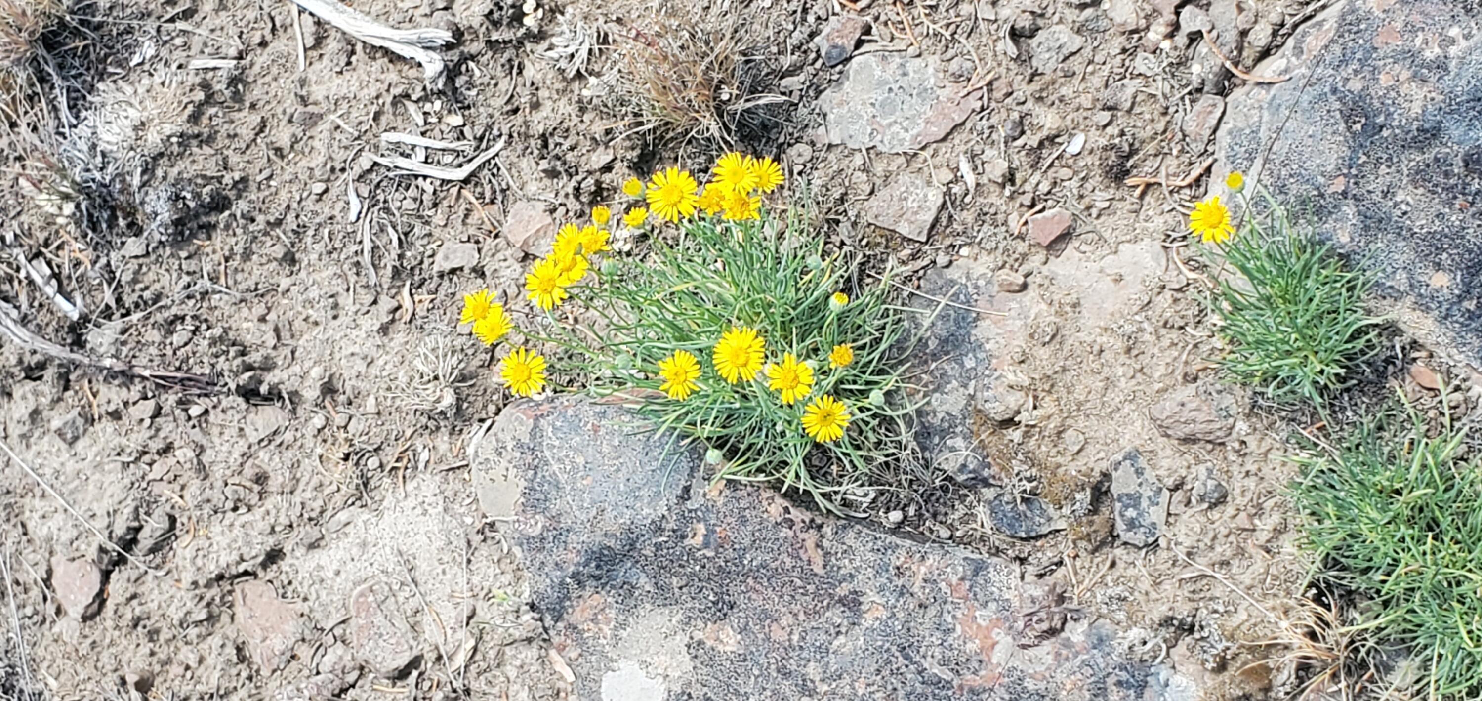 Prineville Lake Acres 1 - Land