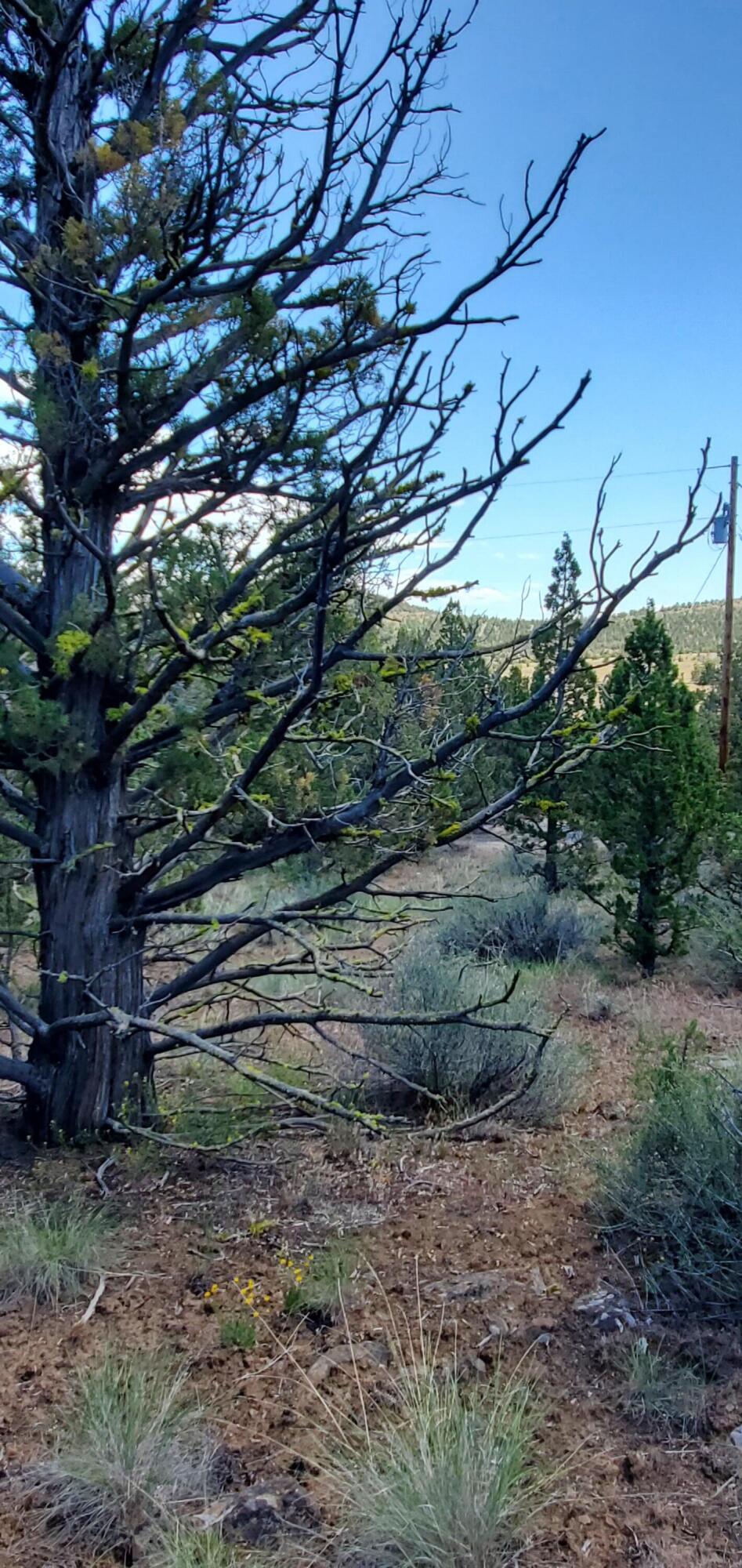 Prineville Lake Acres 1 - Land