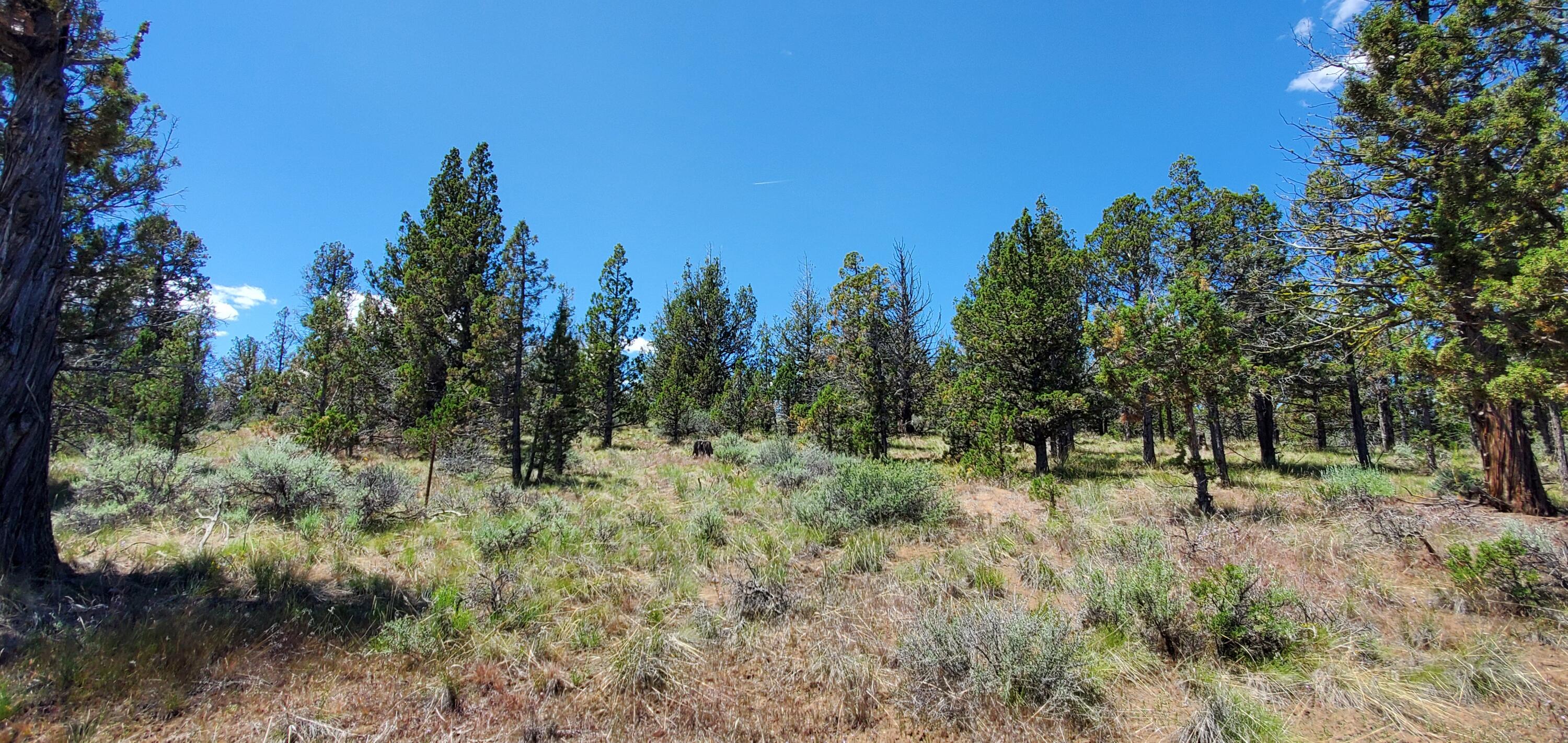 Prineville Lake Acres 1 - Land