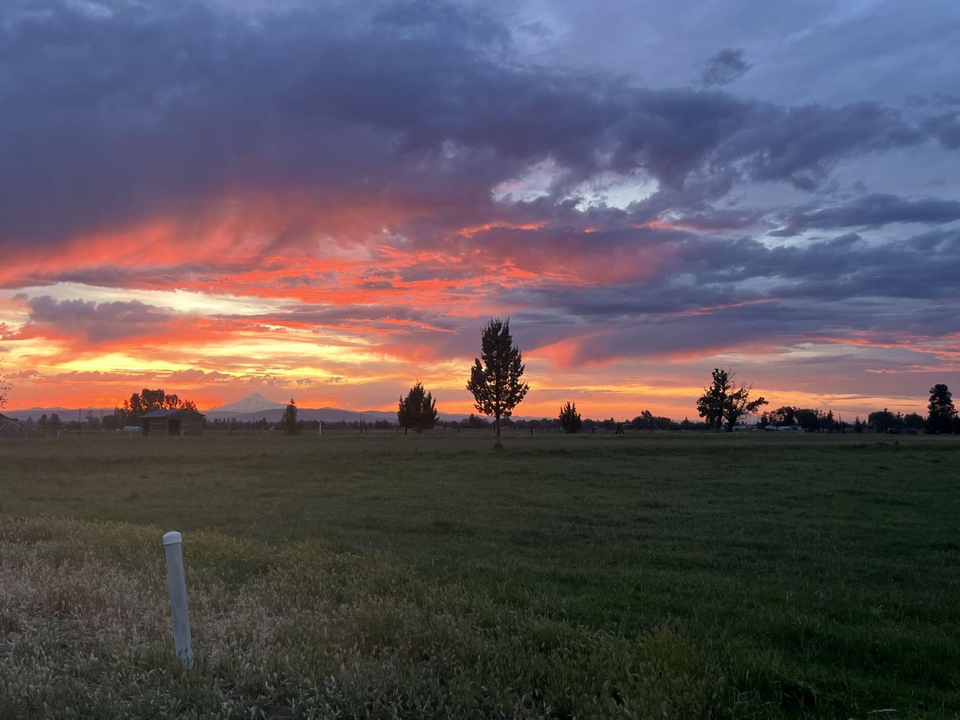 Waverly - Residential