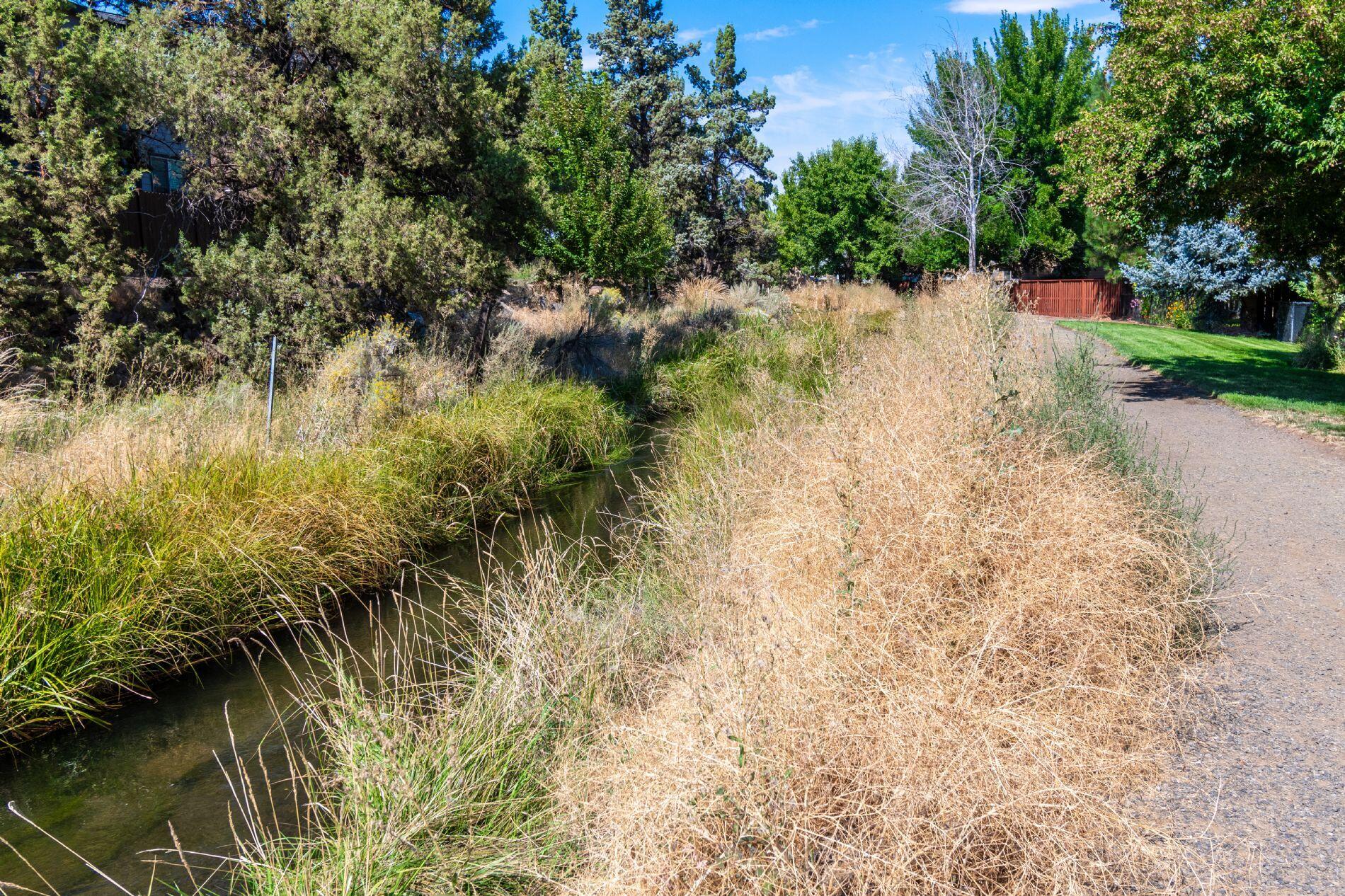 Waverly - Residential