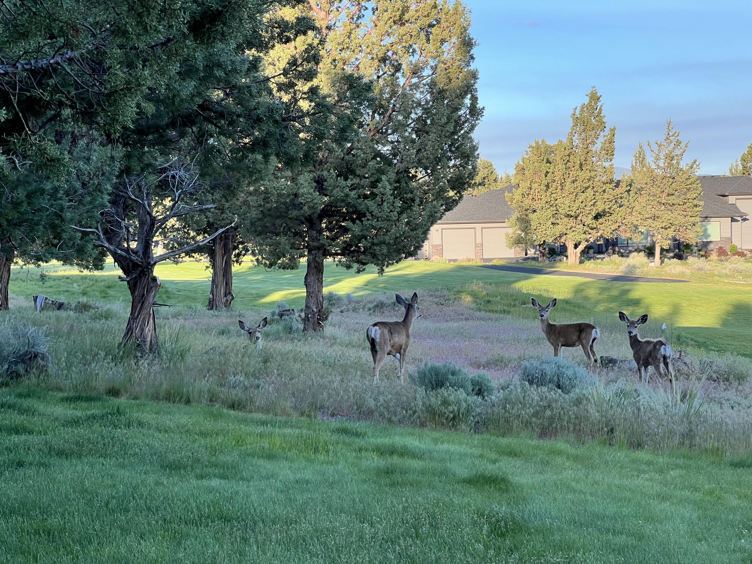 Eagle Crest - Residential