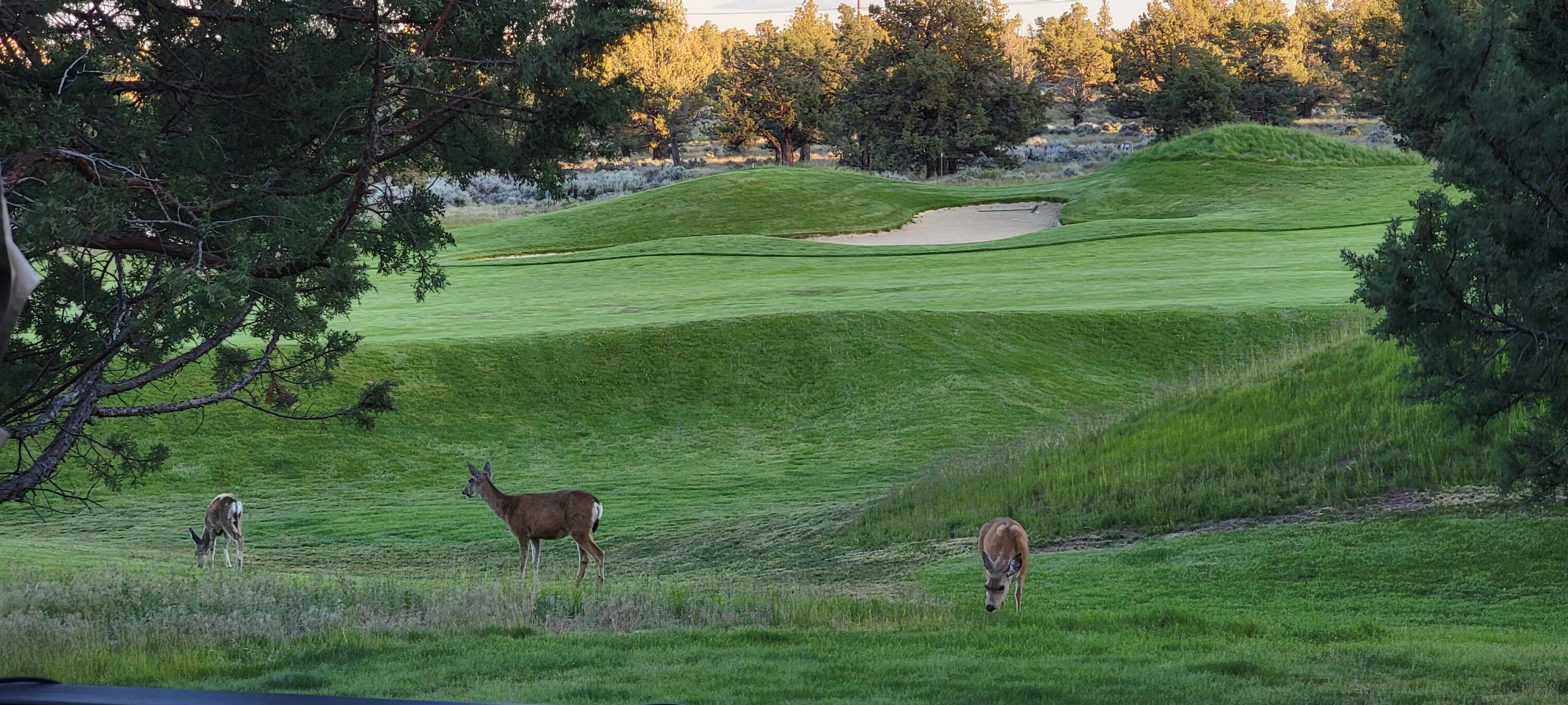 Eagle Crest - Residential