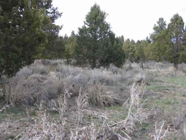 Nimrod River Park - Land