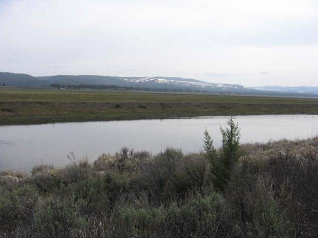 Nimrod River Park - Land