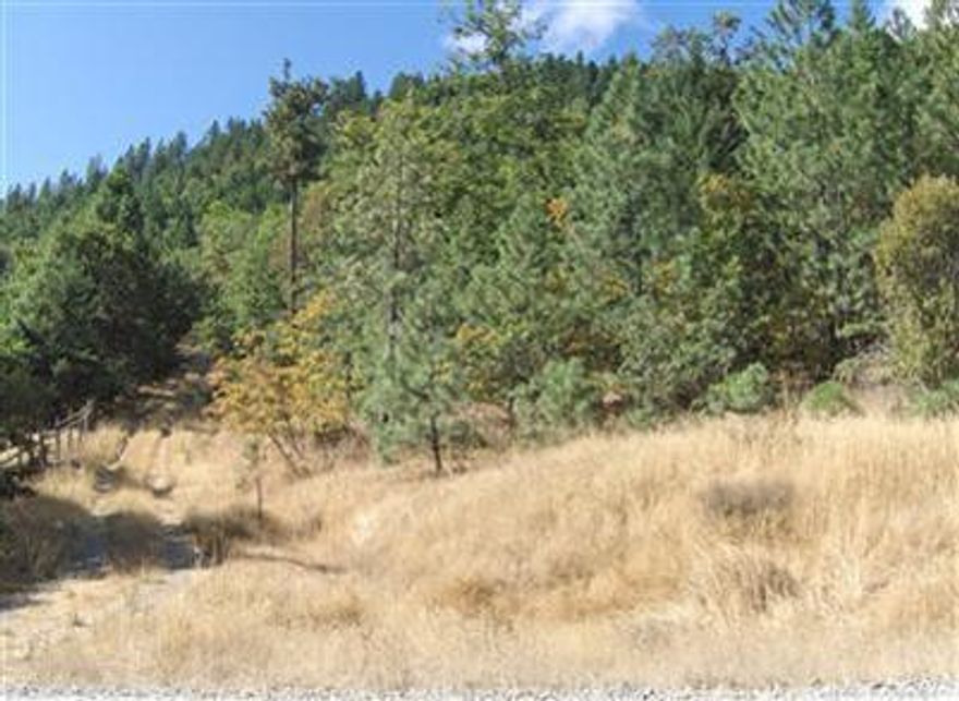 One of the best priced Buildable Parcels in the Applegate Valley. 5.09 Acres offers stunning views of the Applegate and Williams Valleys and Mountains beyond. The Road and Pad are in. Well has been drilled and produced 7 GPM for a 4 Hour Flow Test. Septic System has been approved. Power and Telephone are not far. No CC&R's or restrictions on this parcel, so Manufactured Homes are fine. This is an excellent value for this area!!