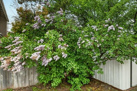 Tiny photo for 115 California Street, Ashland, OR 97520 (MLS # 220219323)