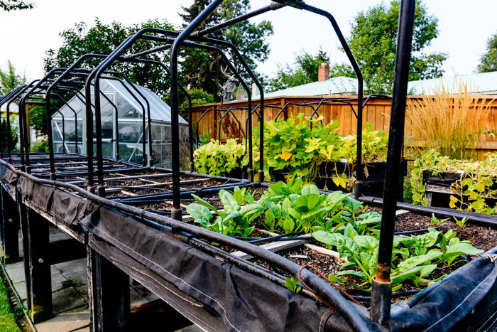 CLACC - Residential Income