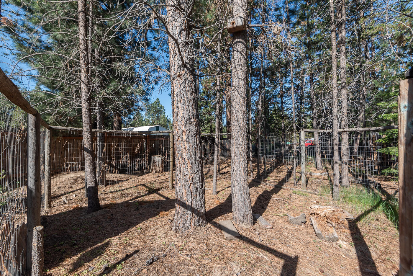 Newberry Estates - Residential