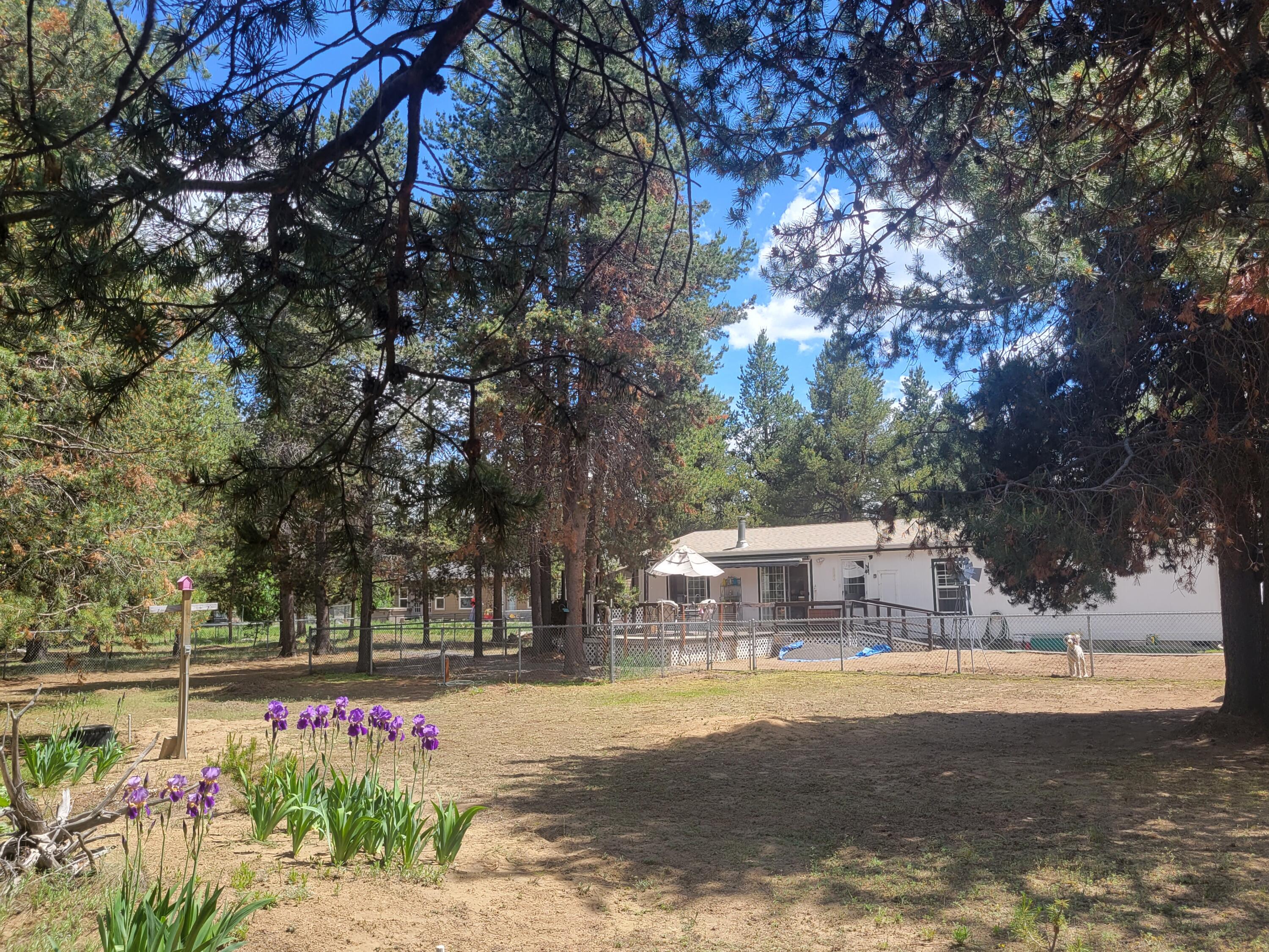 Tall Pines - Residential