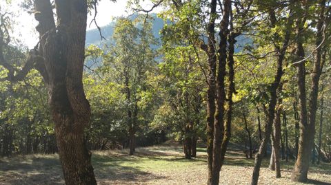 Tiny photo for 0 N Sixth Avenue #TL 903, Gold Hill, OR 97525 (MLS # 220217114)