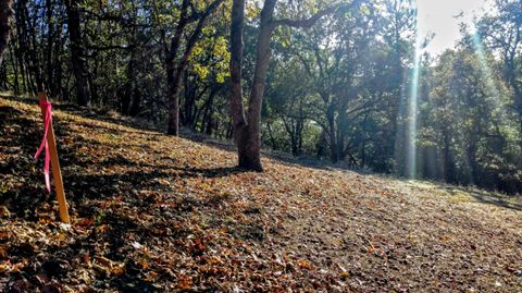 Tiny photo for 0 N Sixth Avenue #TL 903, Gold Hill, OR 97525 (MLS # 220217114)