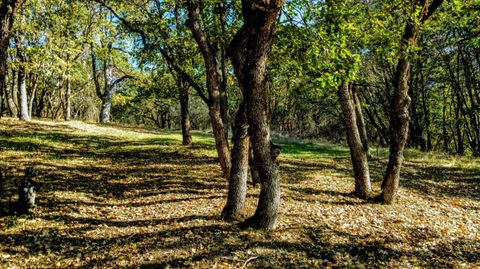 Tiny photo for 0 N Sixth Avenue #TL 903, Gold Hill, OR 97525 (MLS # 220217114)