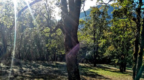 Tiny photo for 0 N Sixth Avenue #TL 903, Gold Hill, OR 97525 (MLS # 220217114)