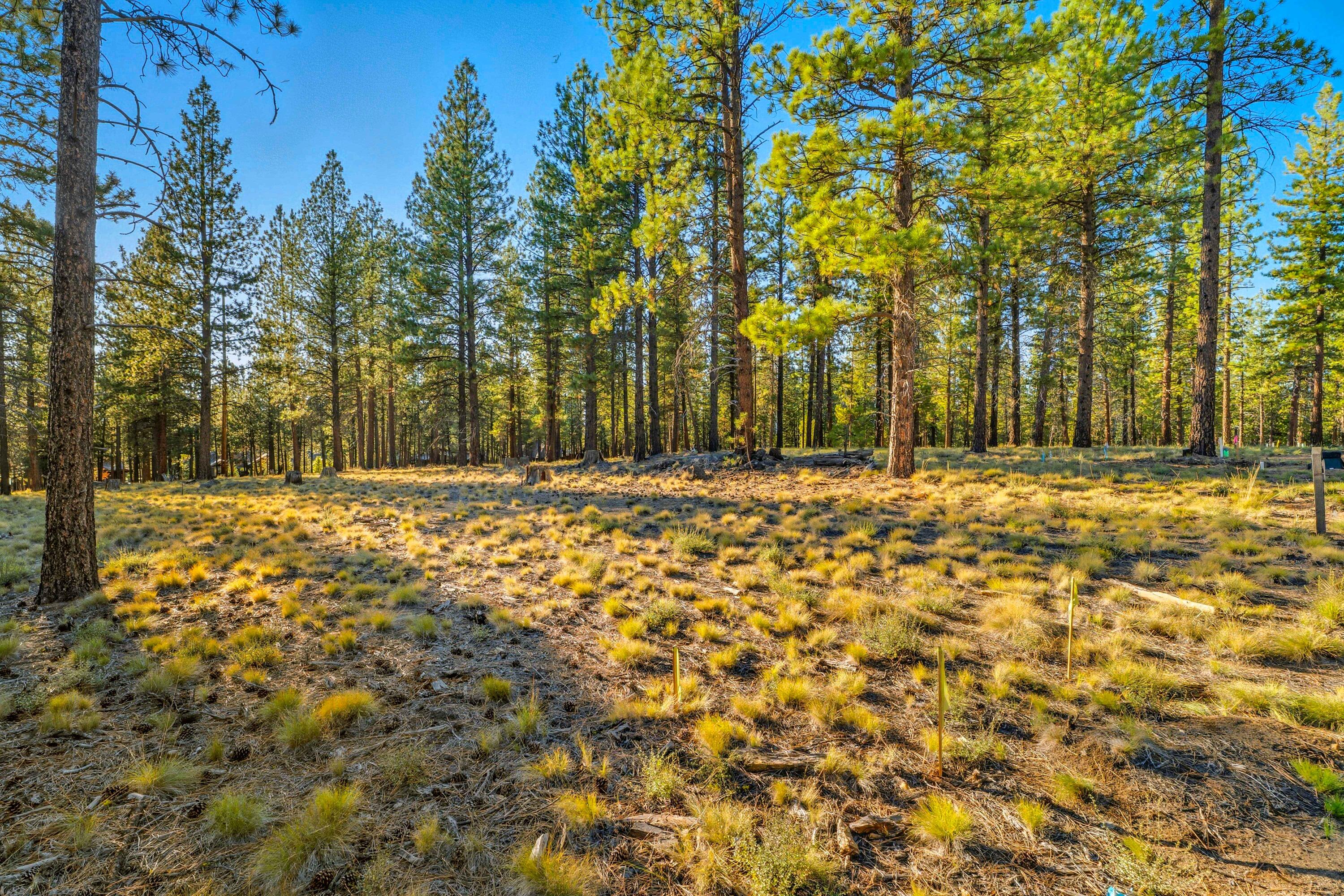 56508 Elk Run Drive 499