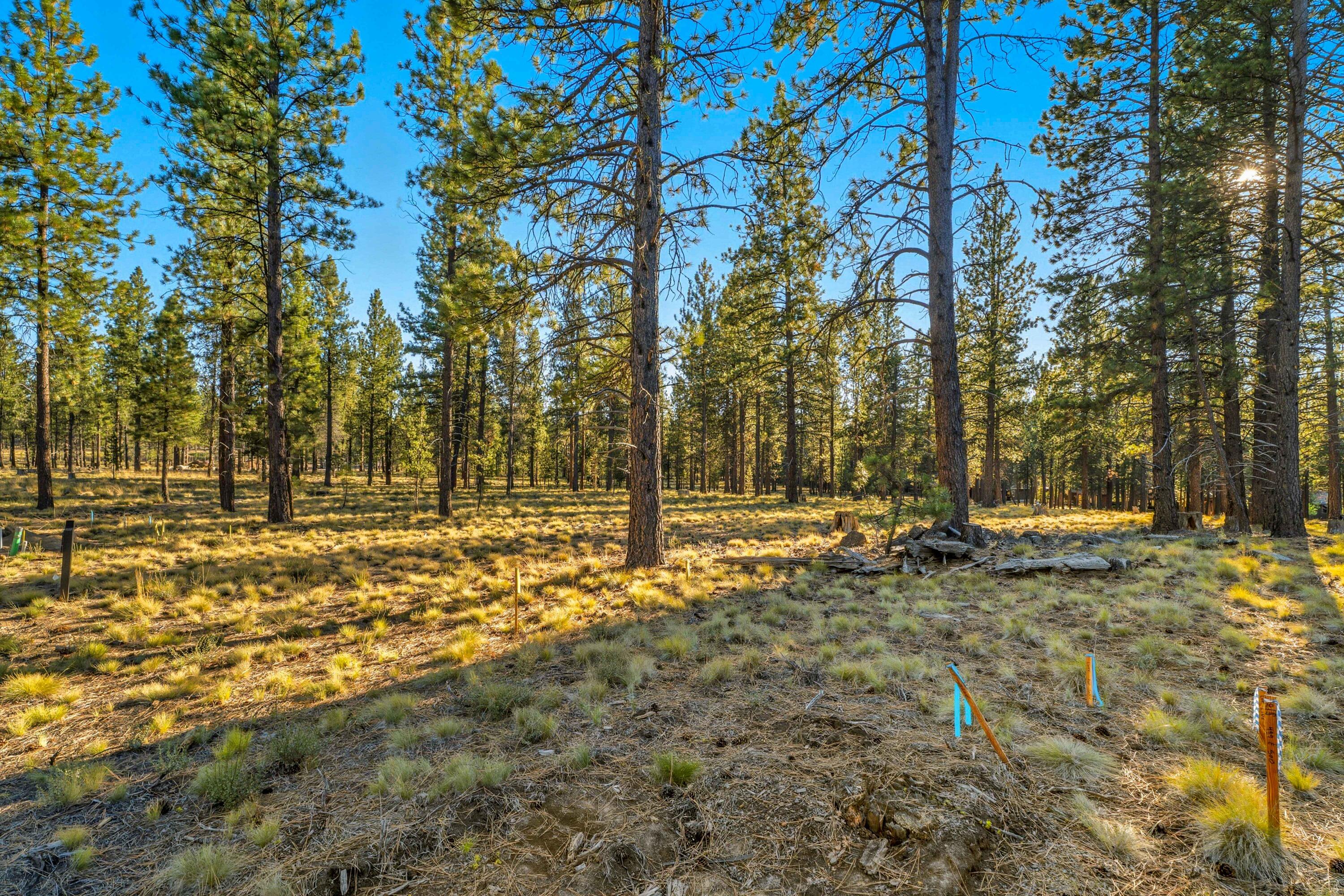 56508 Elk Run Drive 499