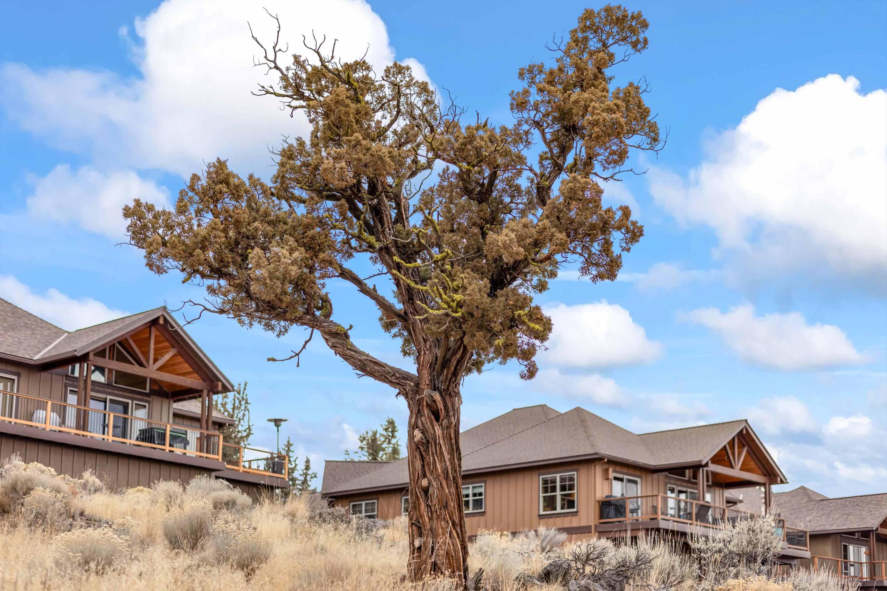 Ridge At Eagle Crest - Residential