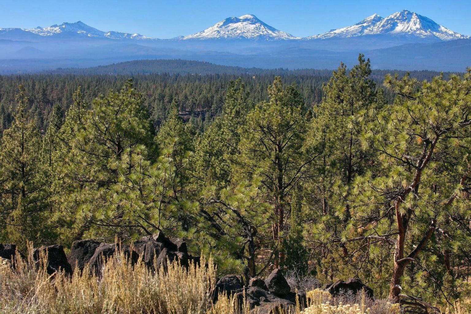 Sno Cap Vista Est - Residential