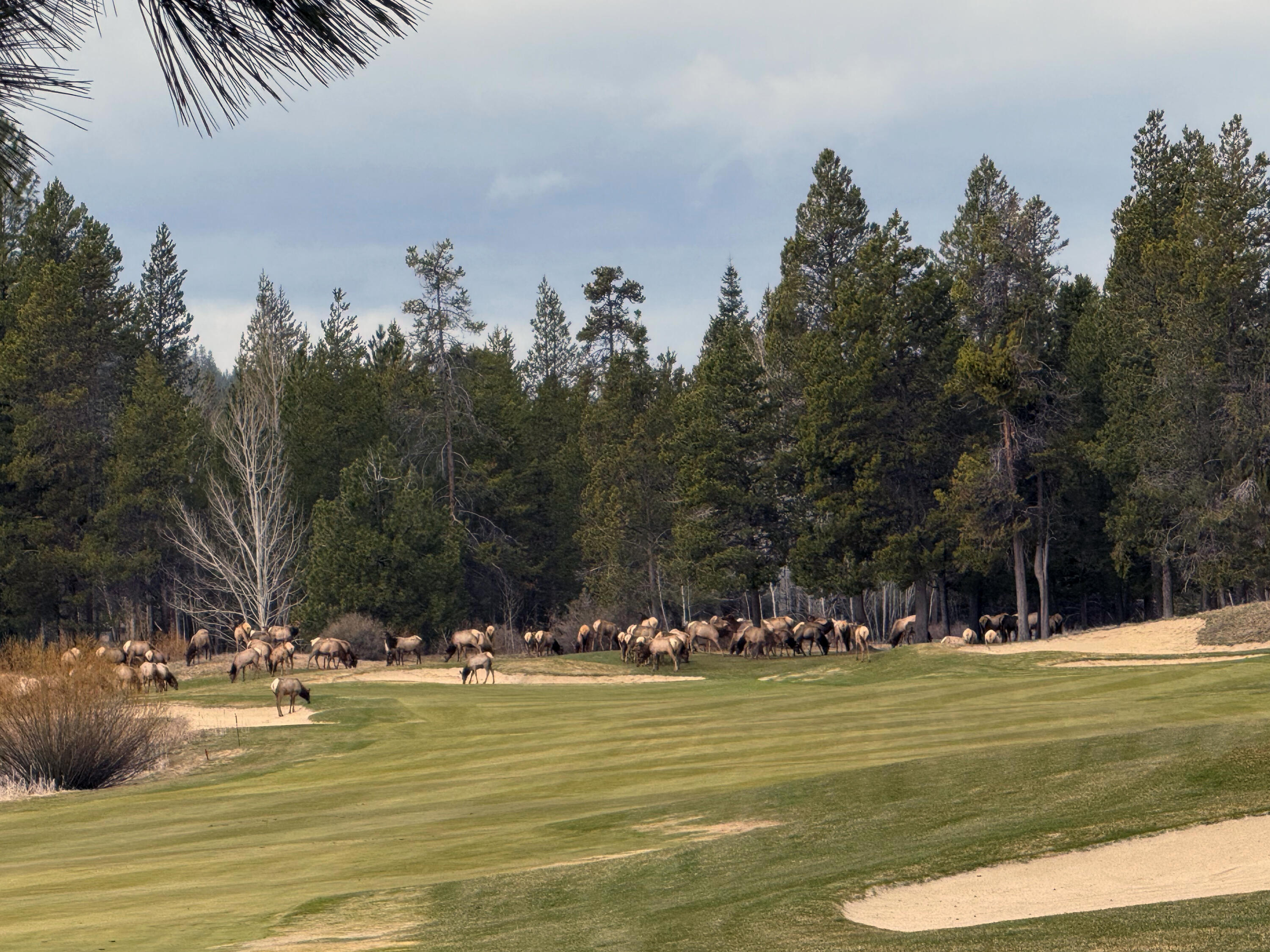 Crosswater - Residential