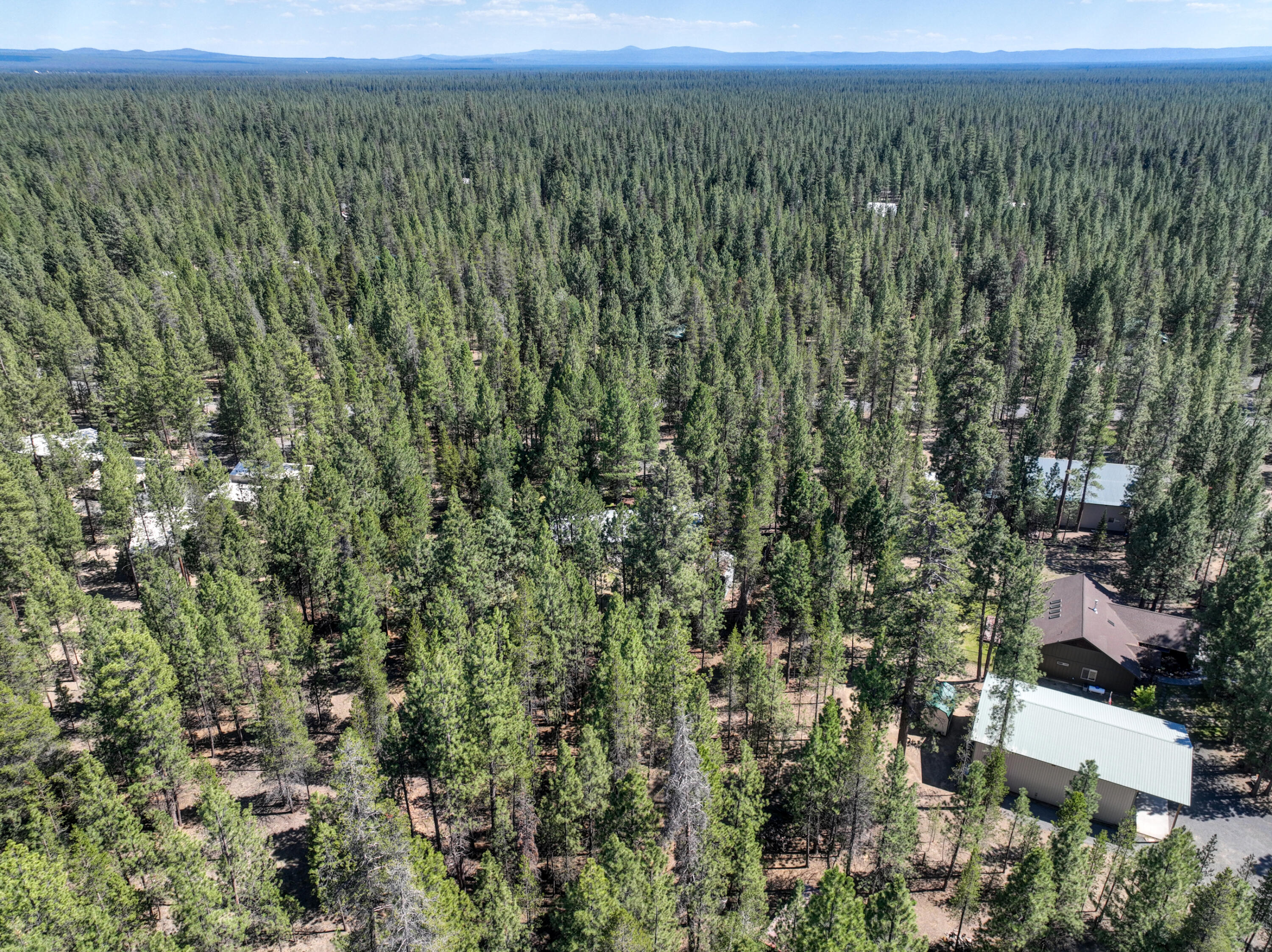 Ponderosa Pines - Residential