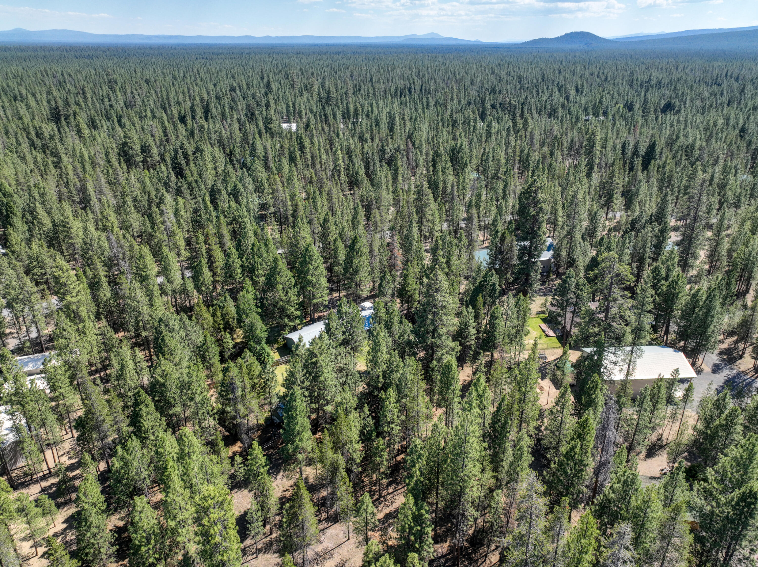 Ponderosa Pines - Residential