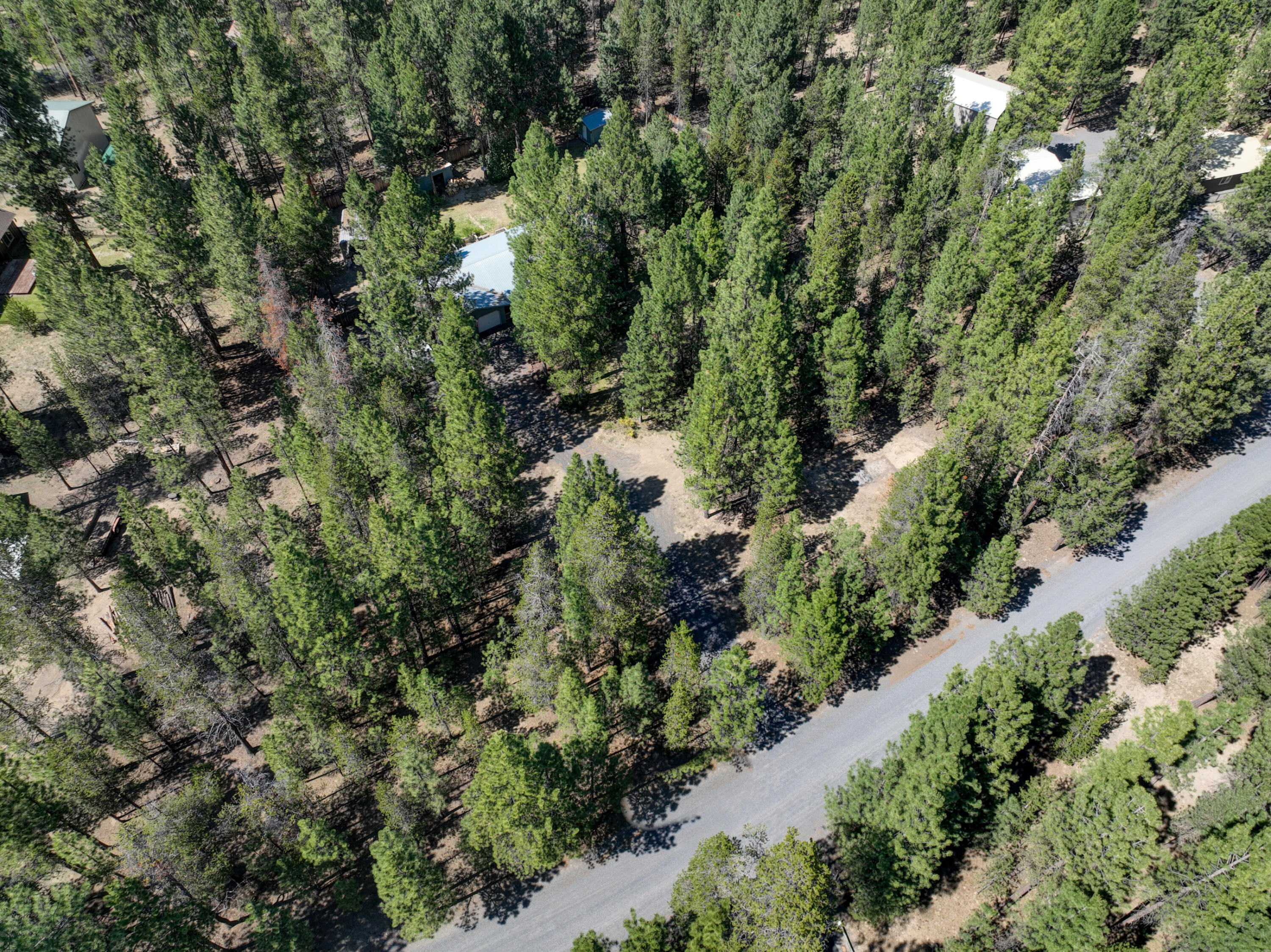 Ponderosa Pines - Residential