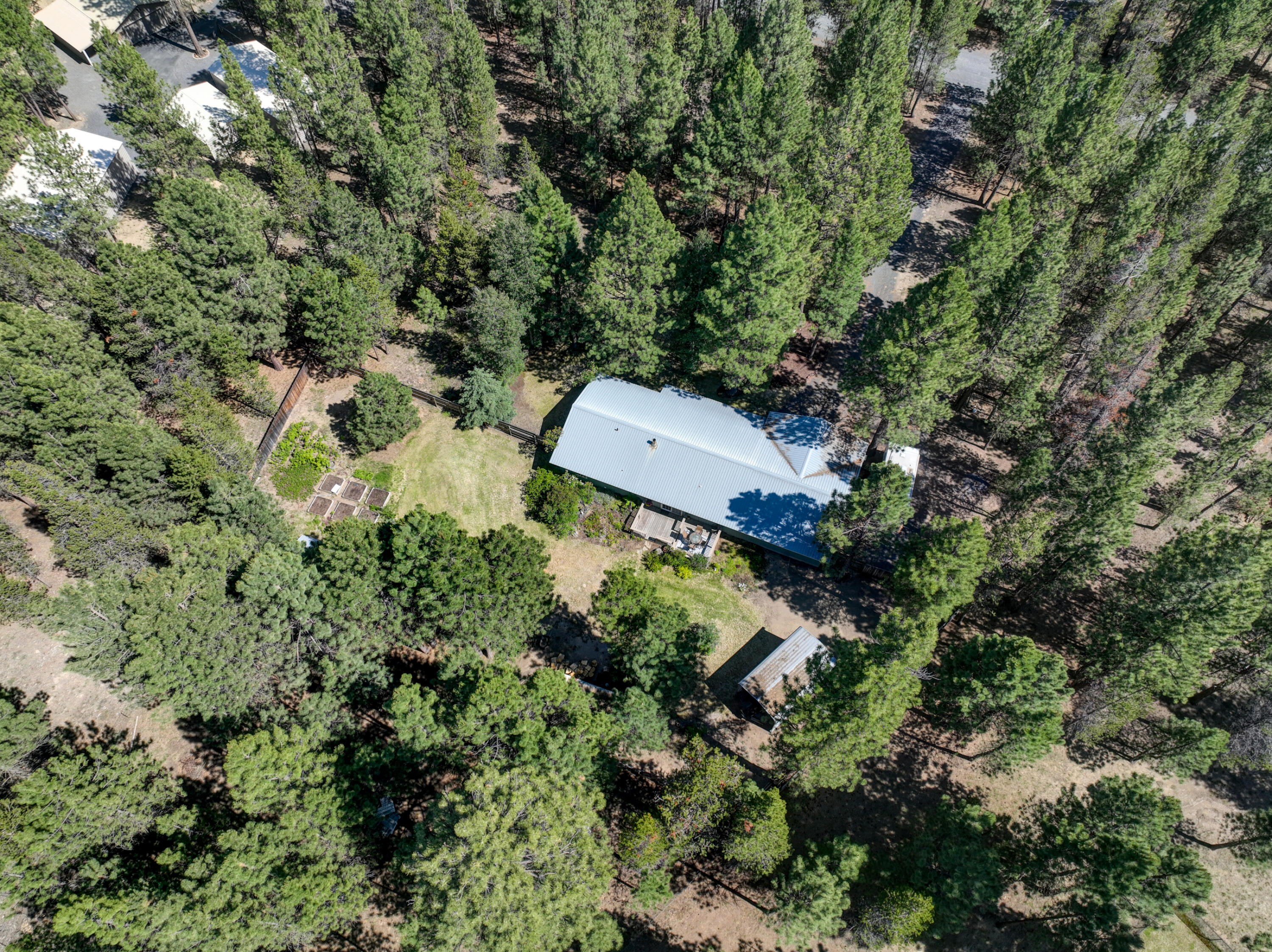 Ponderosa Pines - Residential