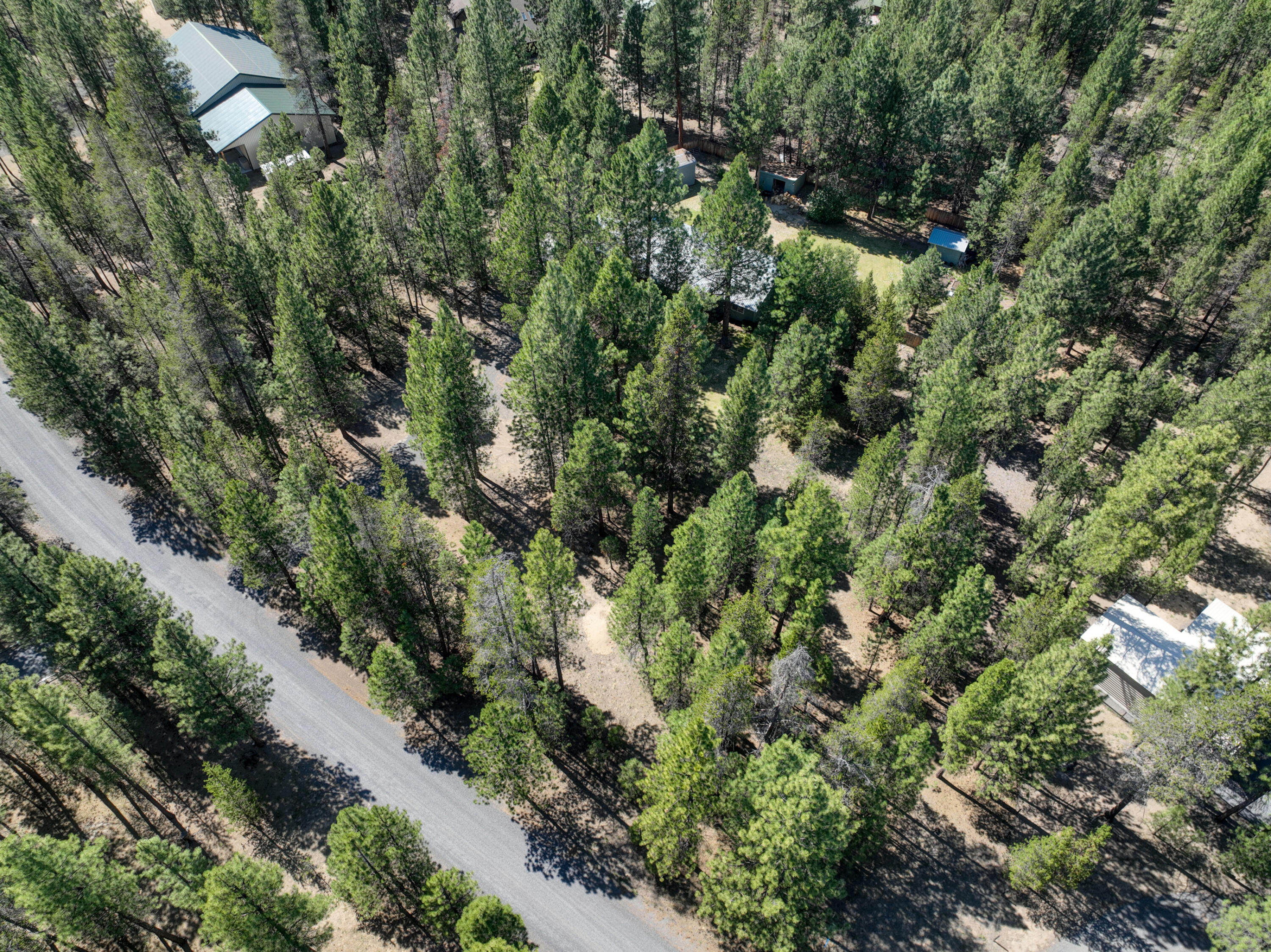 Ponderosa Pines - Residential