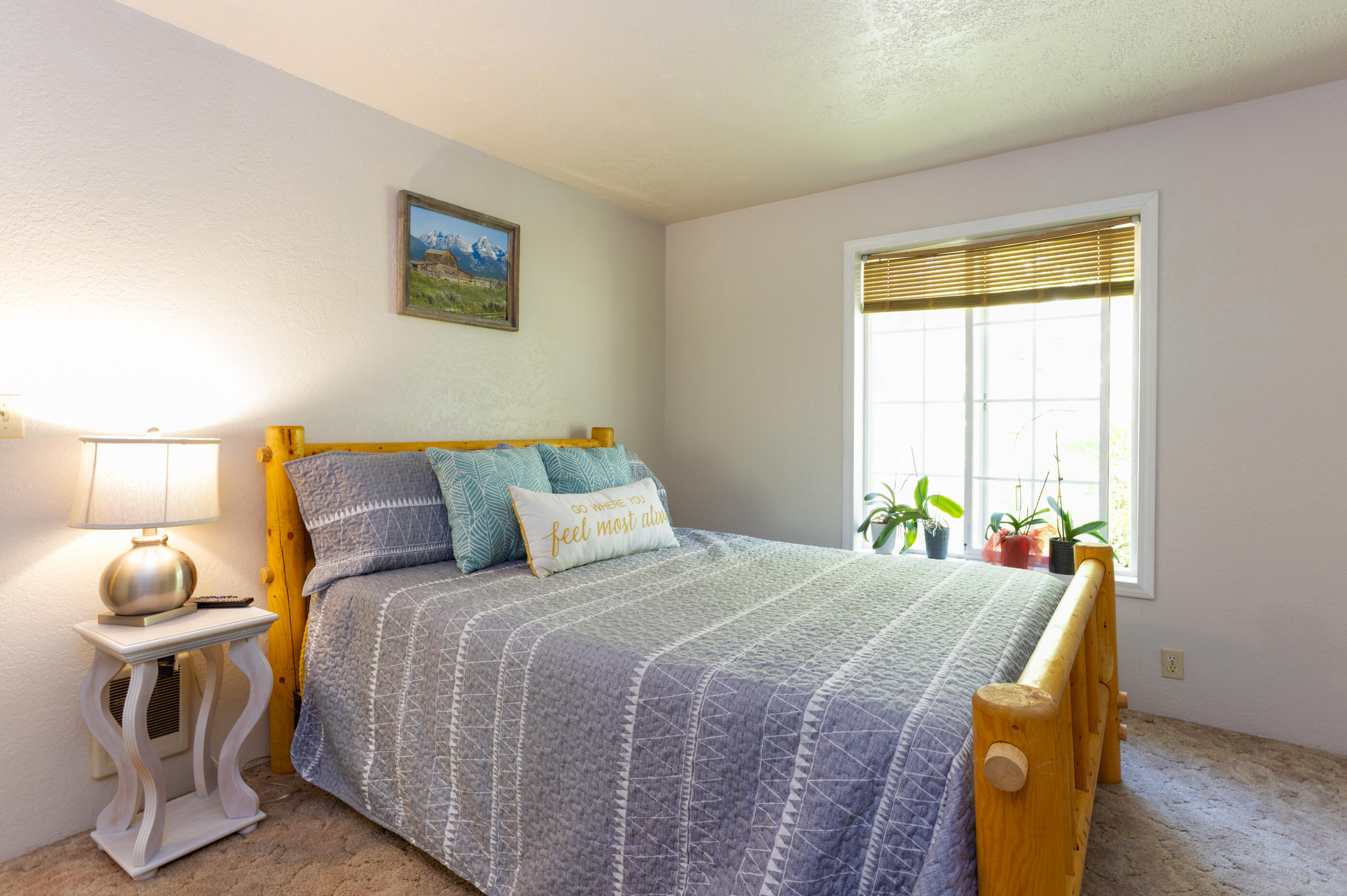 Ponderosa Pines - Residential