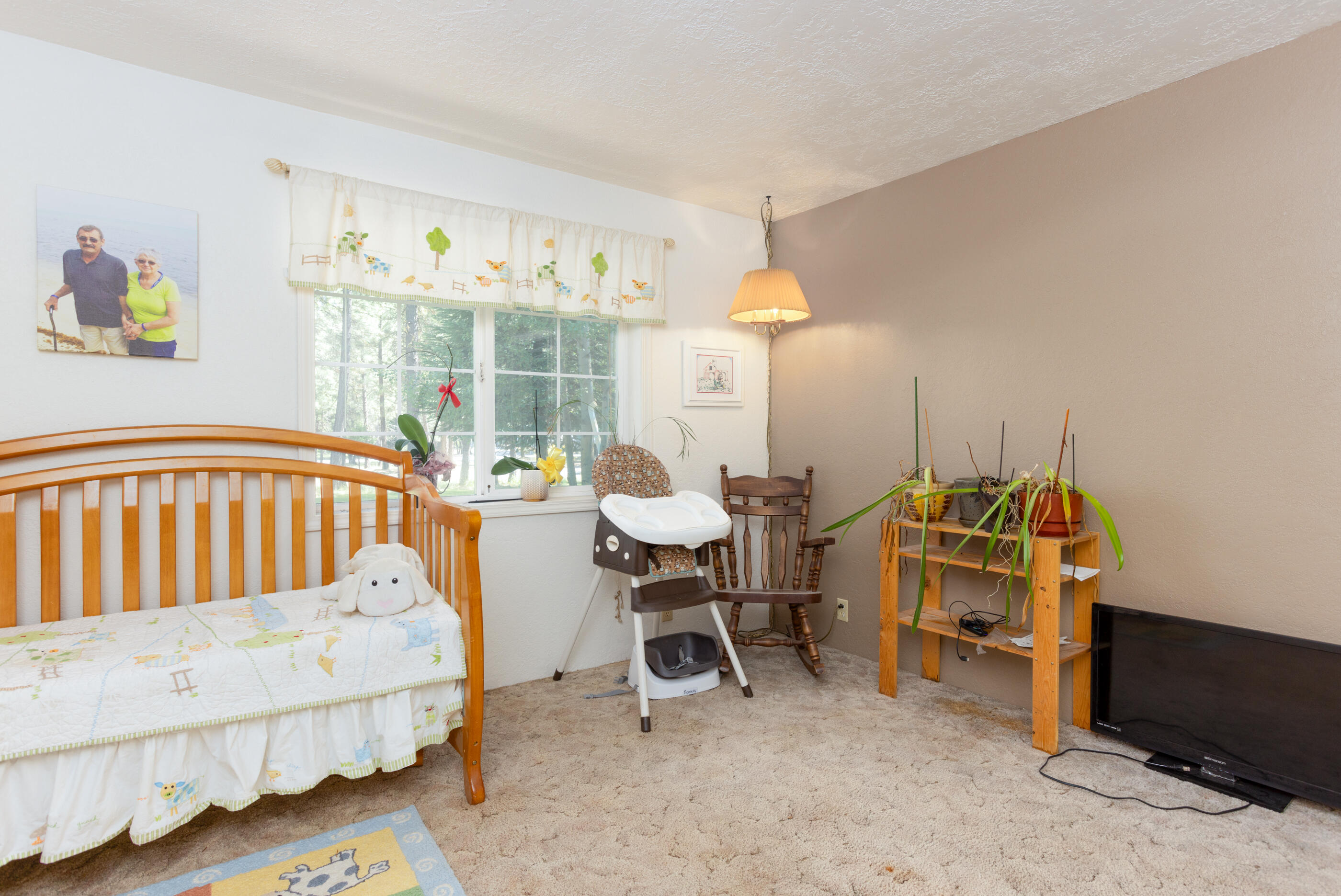 Ponderosa Pines - Residential