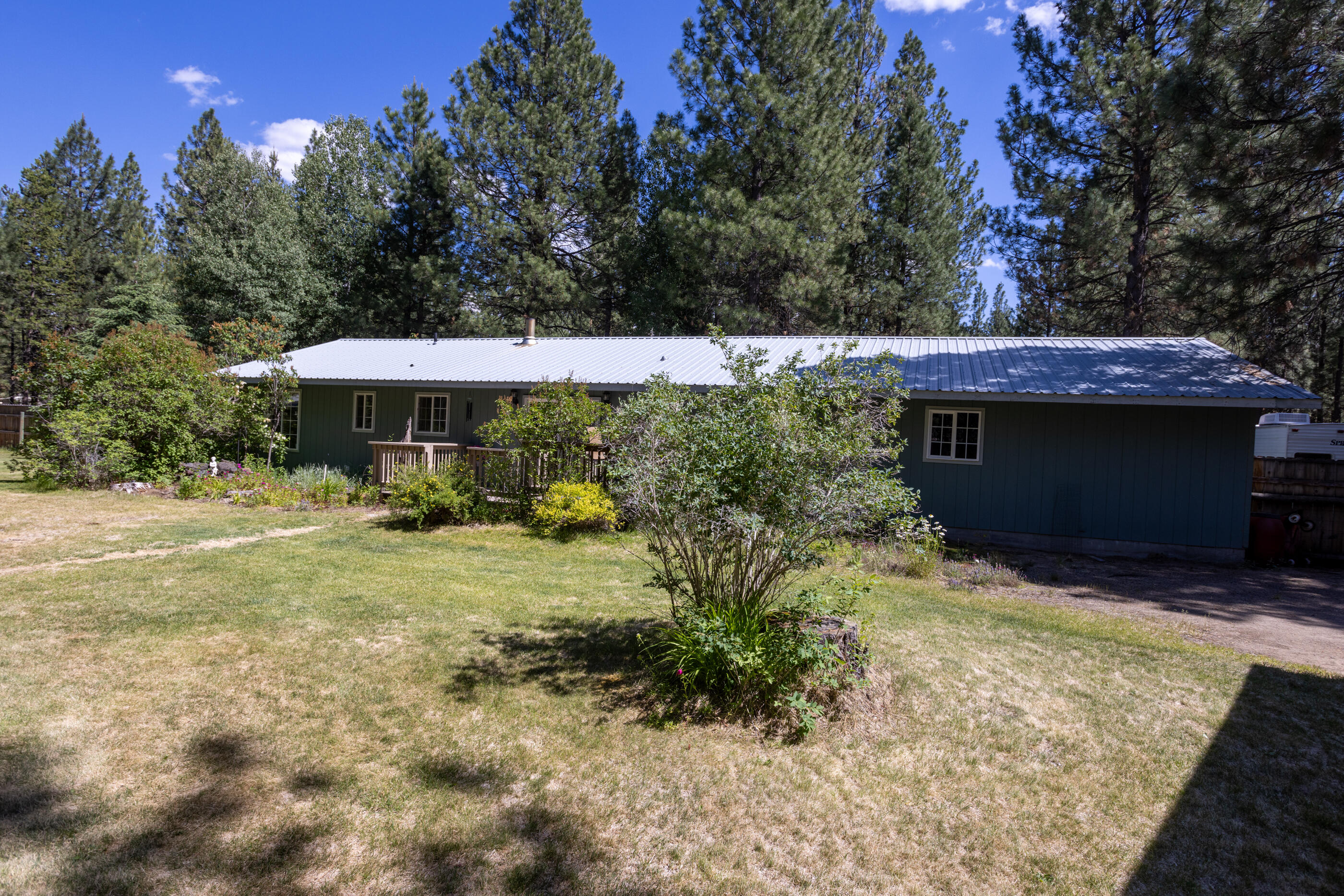 Ponderosa Pines - Residential