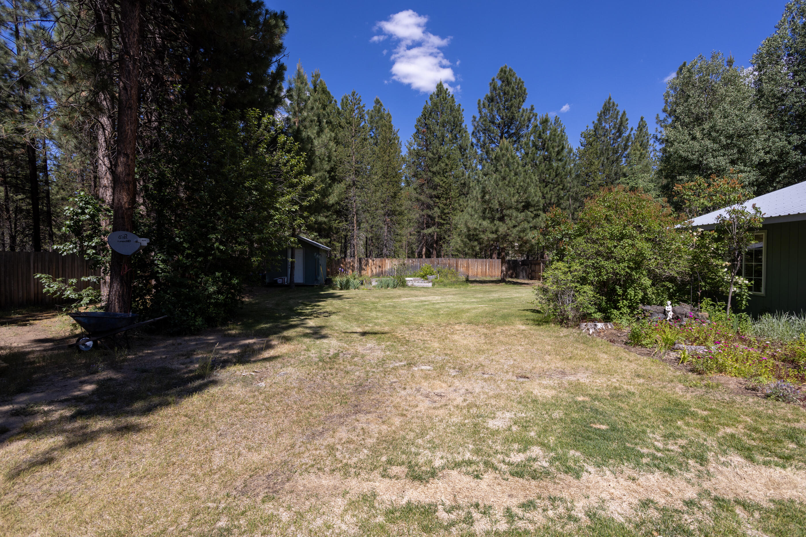 Ponderosa Pines - Residential