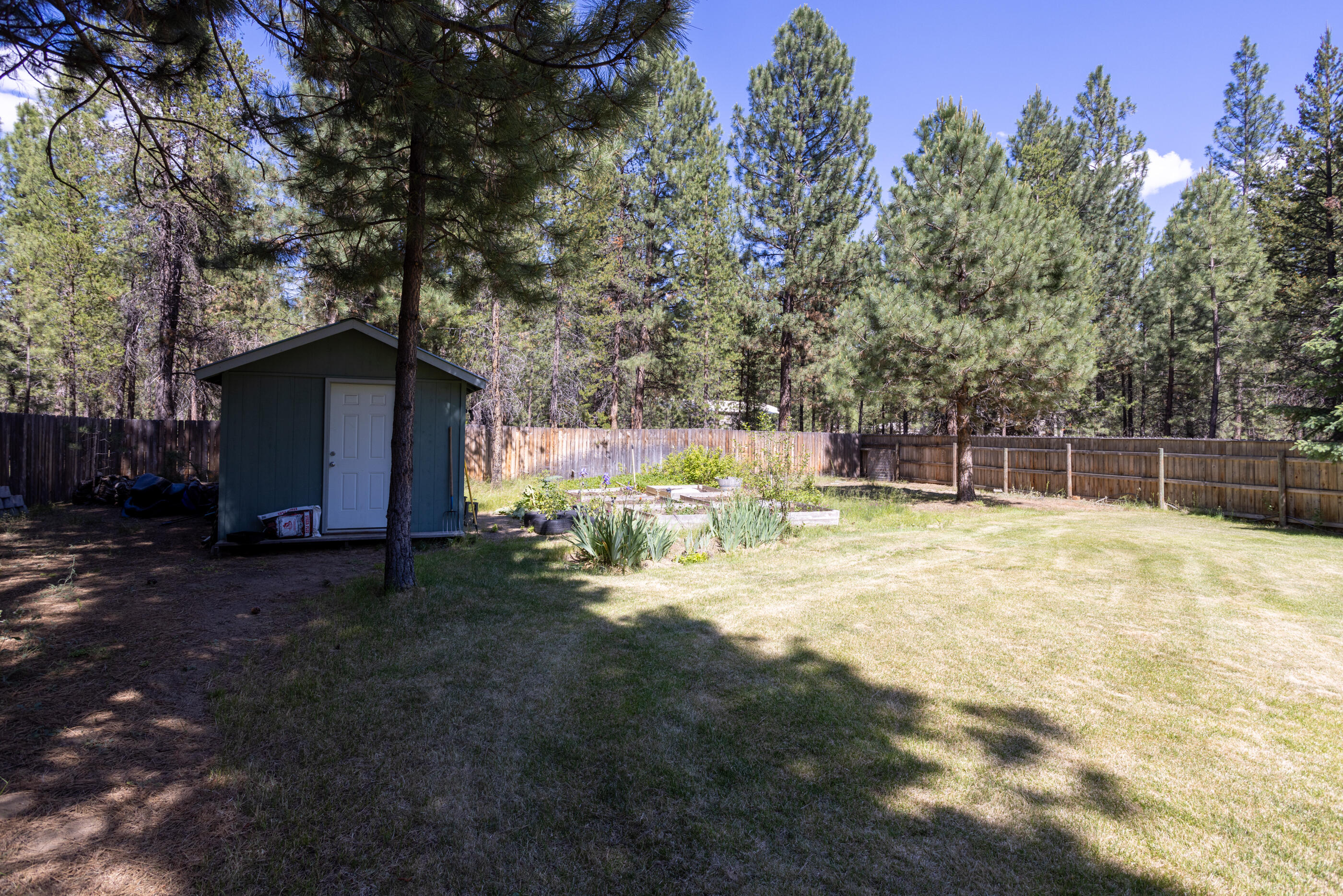 Ponderosa Pines - Residential