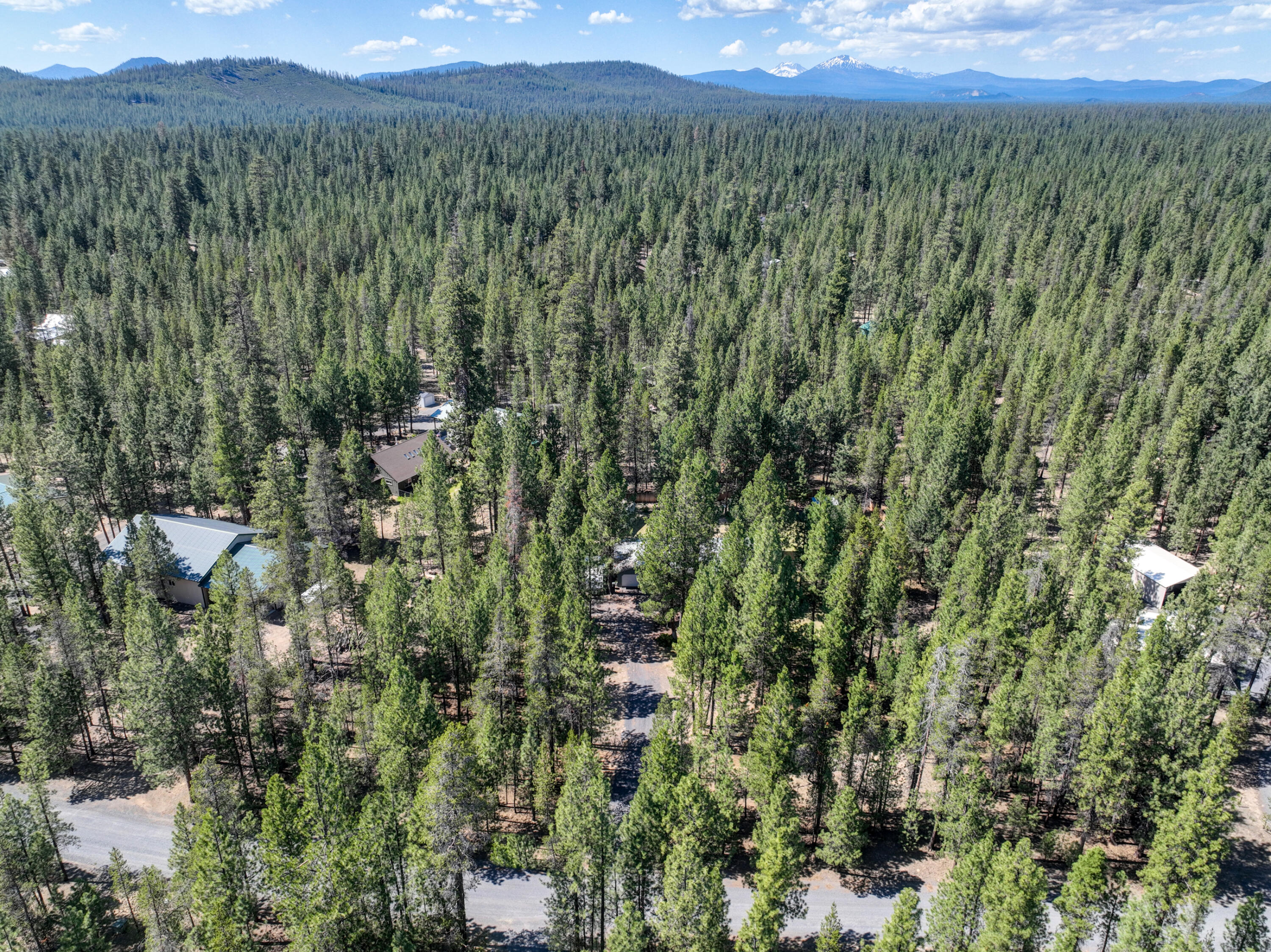 Ponderosa Pines - Residential