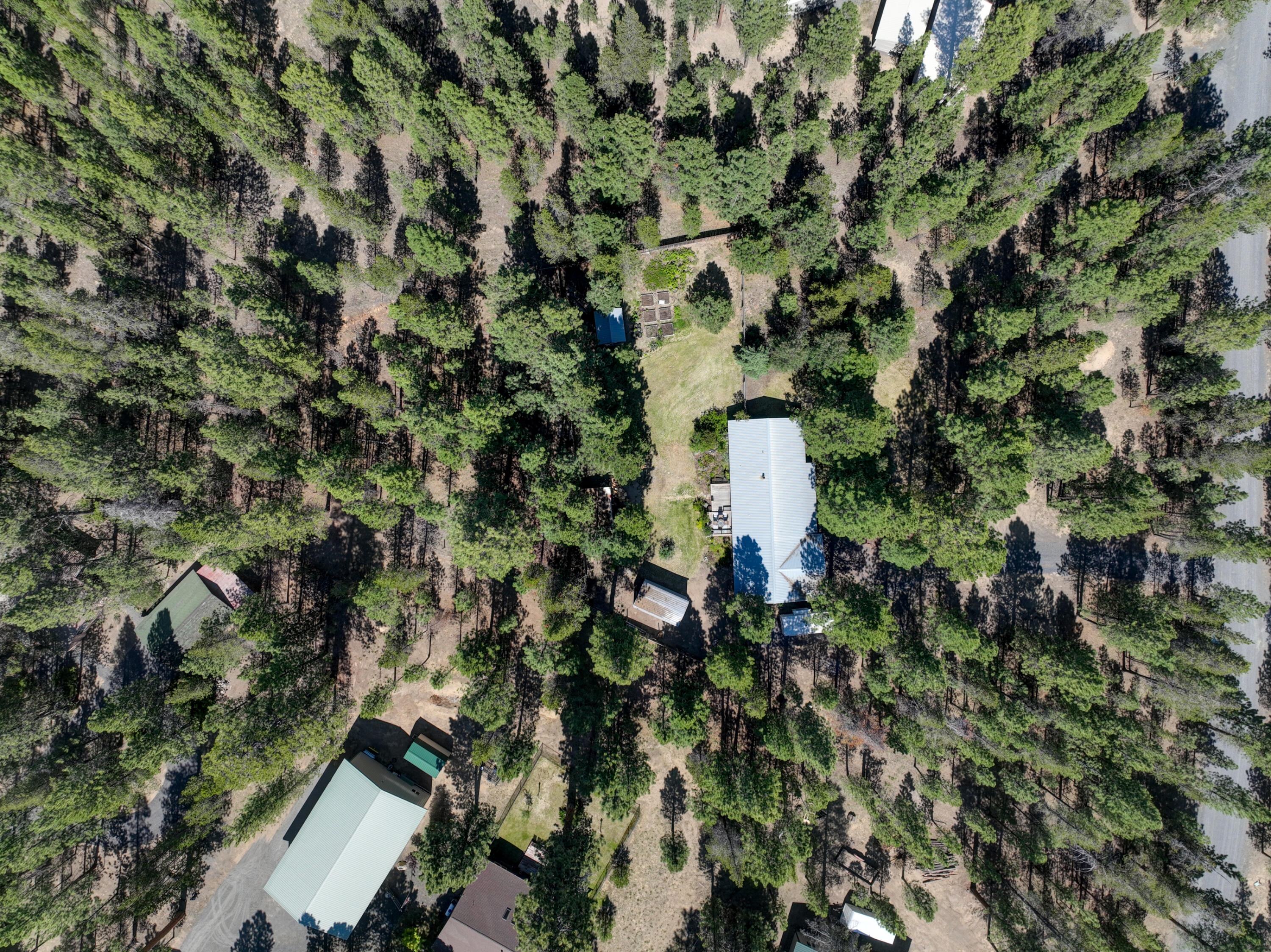 Ponderosa Pines - Residential